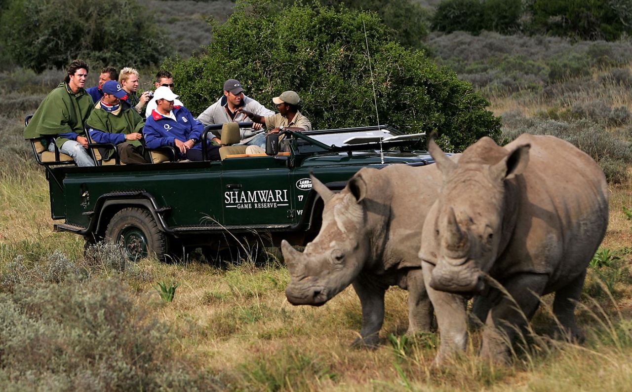 England players pass by a pair of rhinoceros while on safari at the Shamwari Game Reserve in South Africa, February 3, 2005