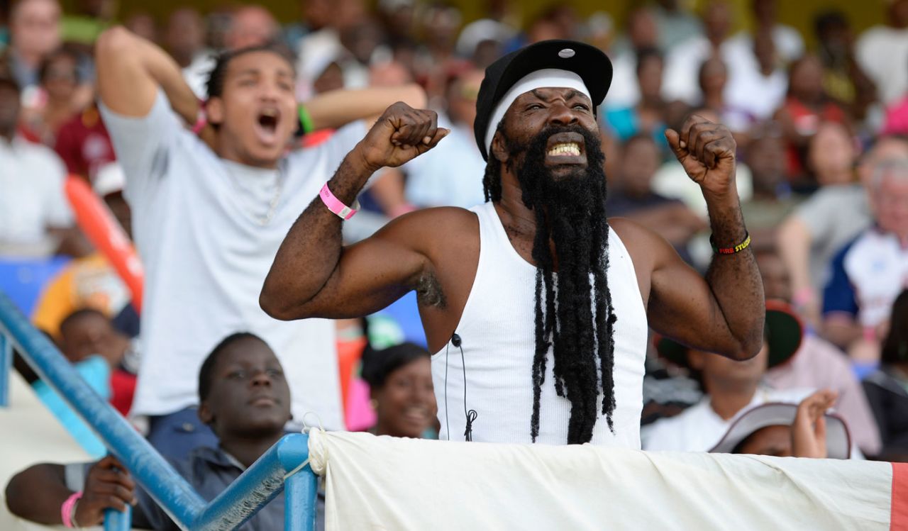 Cabbage, a spectator, enjoys the game, West Indies v England, 1st ODI, North Sound, February 28, 2014
