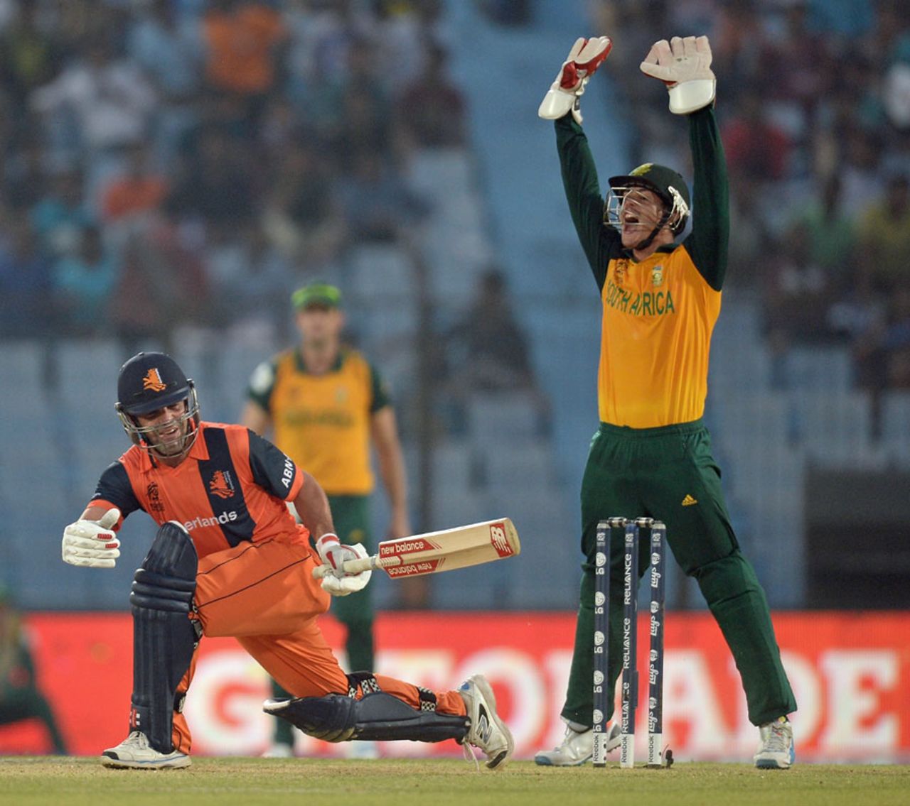 Quinton de Kock appeals successfully for an lbw against Peter Borren, Netherlands v South Africa, World T20, Group 1, Chittagong, March 27, 2014