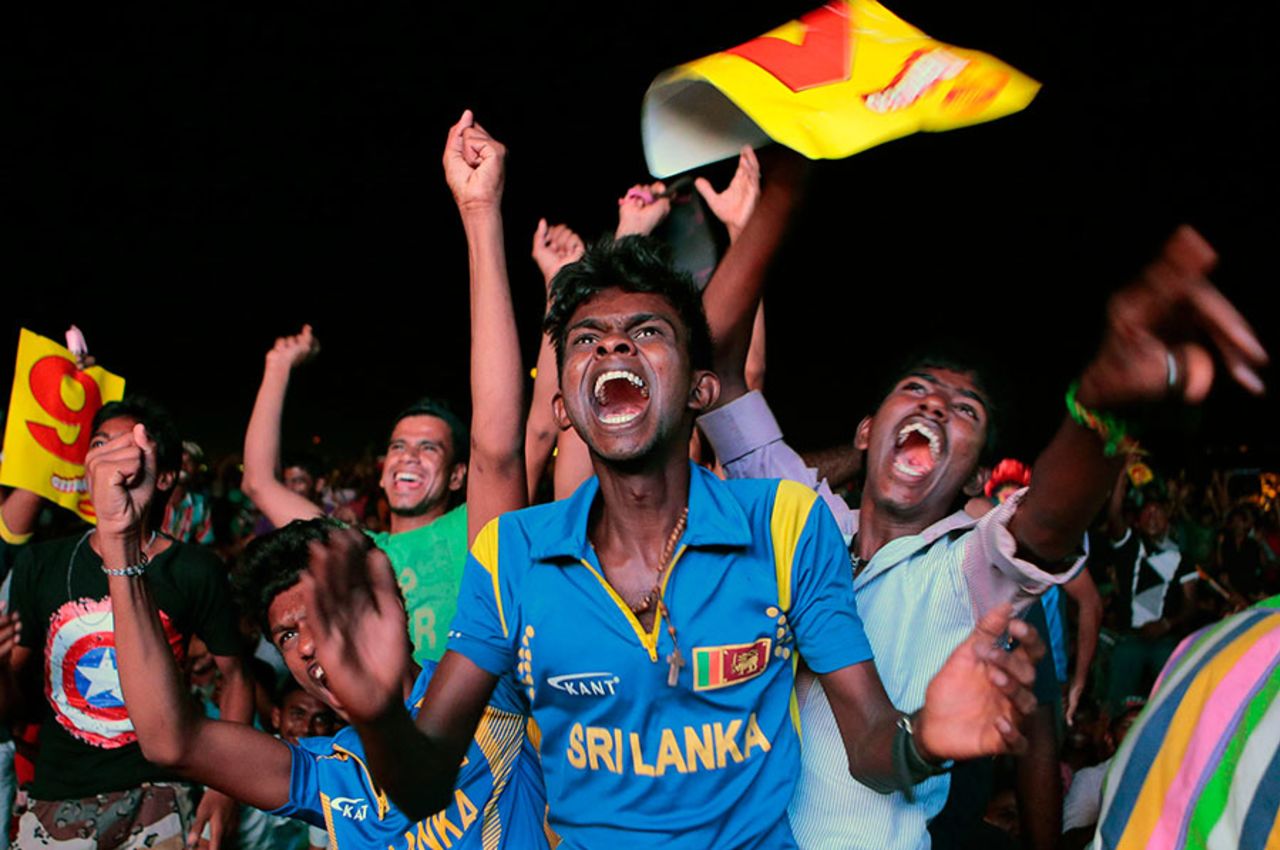 Sri Lanka fans celebrate their team's World T20 title triumph, Colombo, April 6, 2014