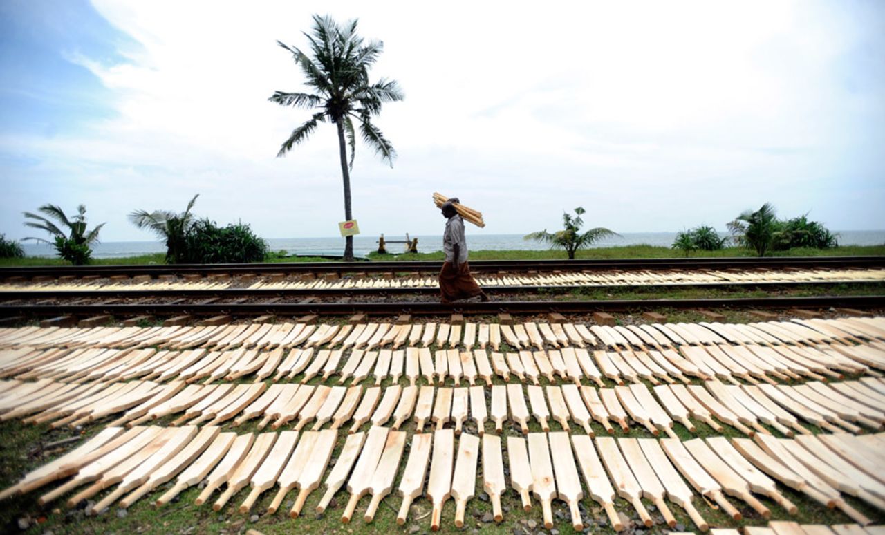 Rows of unfinished cricket bats outside a factory in Moratuwa near Colombo, February 22, 2010