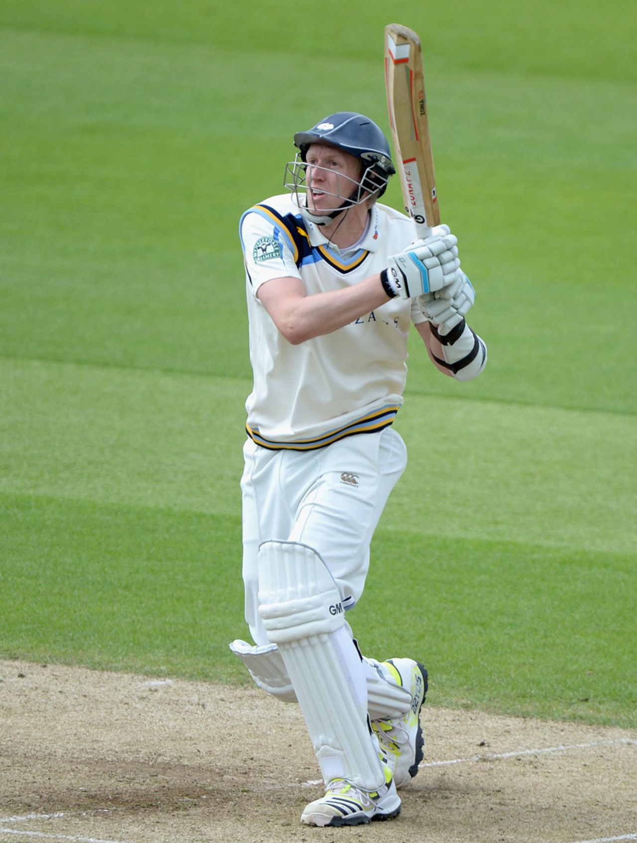 Steven Patterson helped add 106 for the ninth wicket, Yorkshire v Warwickshire, County Championship, Division One, Headingley, 2nd day, May 12, 2014