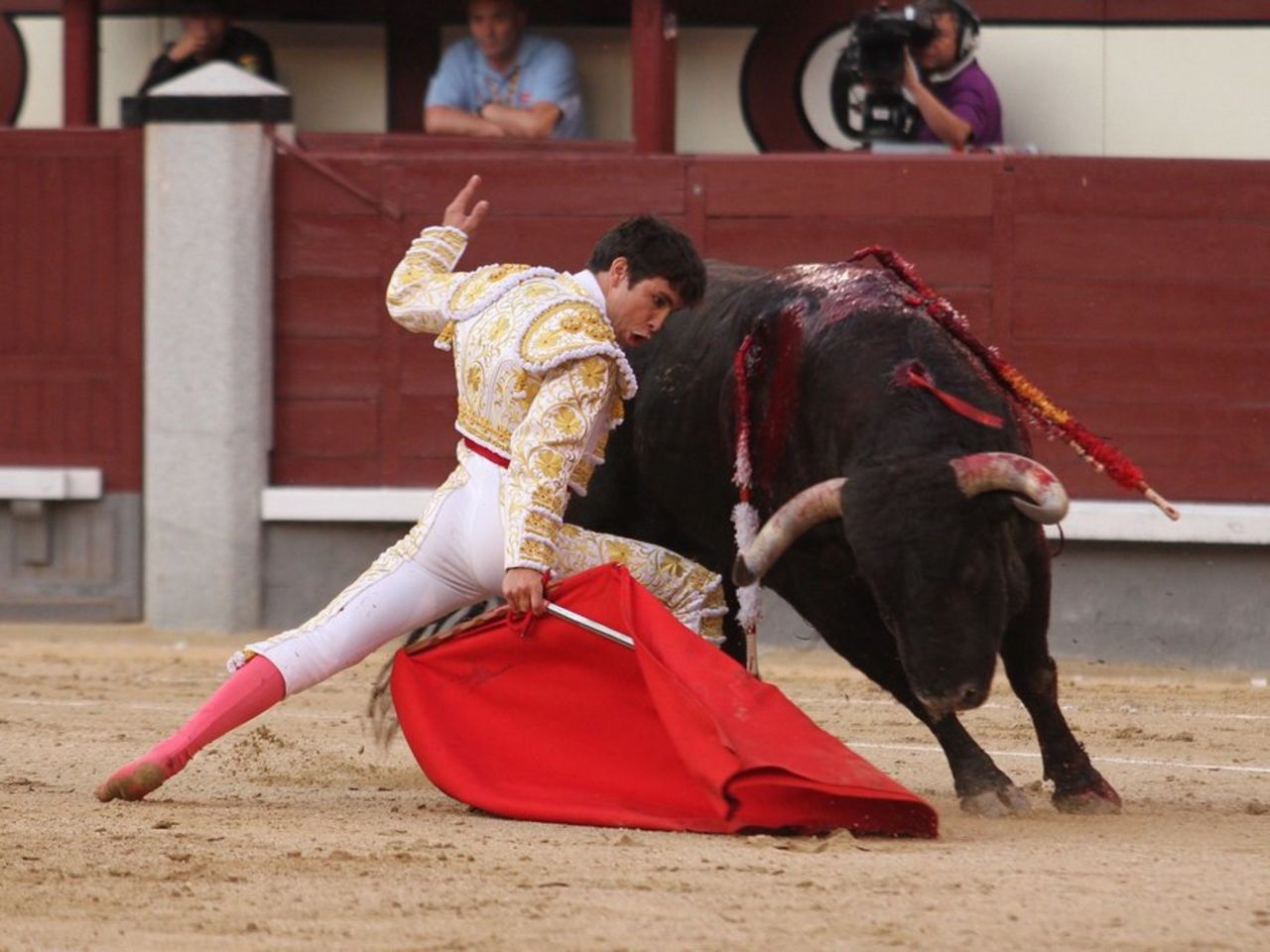 Spanish matador David Galan performs a pass to a bull, Madrid, May 15, 2014