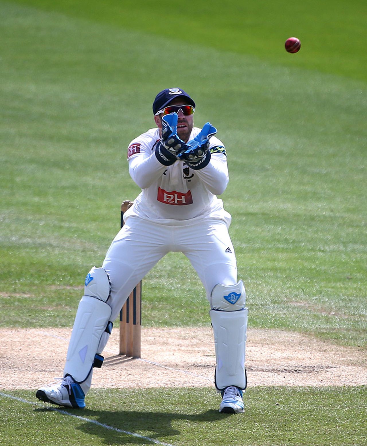 Will Matt Prior be back at Sussex?, Sussex v Nottinghamshire, County Championship, Division One, Hove, June 2, 2014