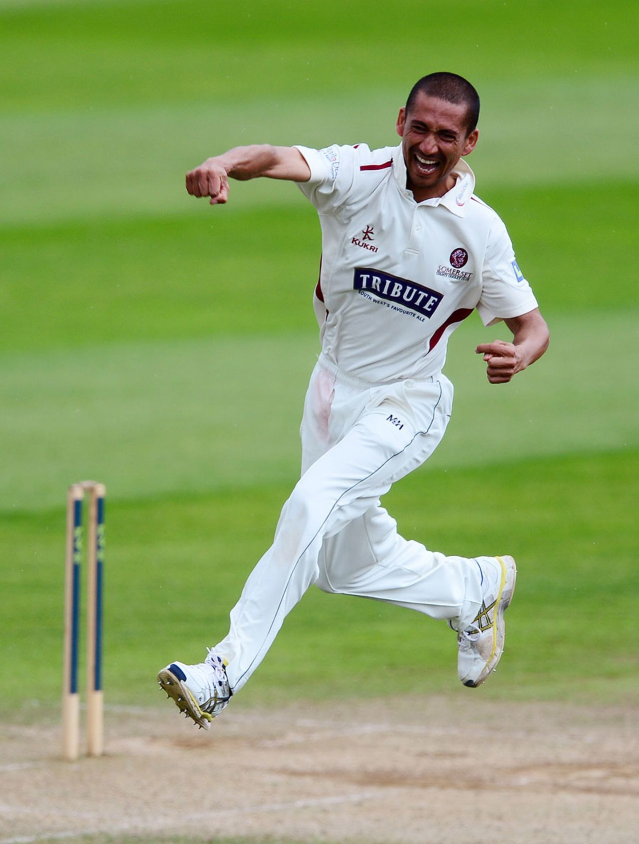 Alfonso Thomas celebrates his fourth wicket in four balls, Somerset v Sussex, County Championship, Division One, Taunton, 3rd day, June 10, 2014