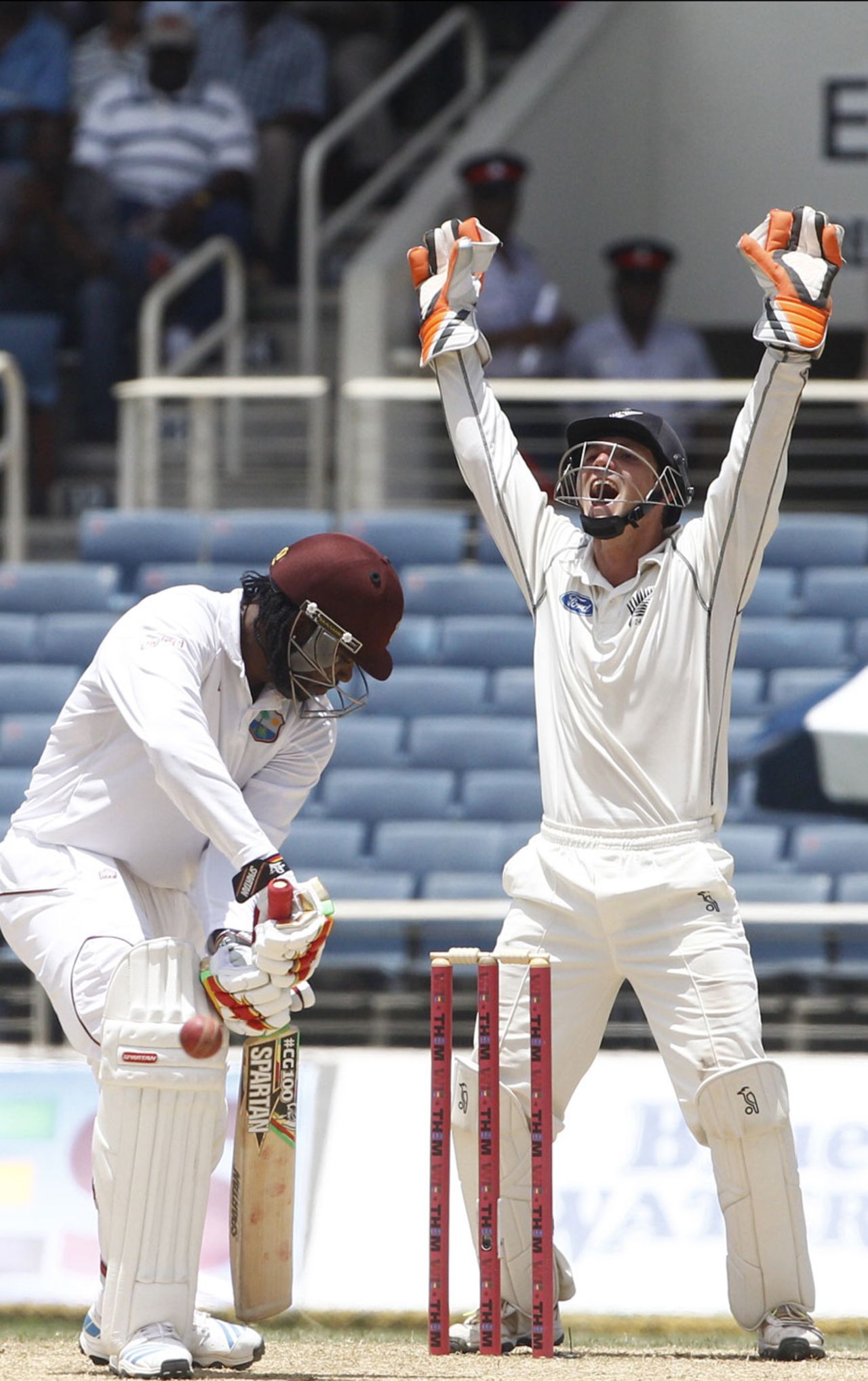 BJ Watling appeals unsuccessfully for the wicket of Chris Gayle, West Indies v New Zealand, 1st Test, Kingston, 3rd day, June 10, 2014