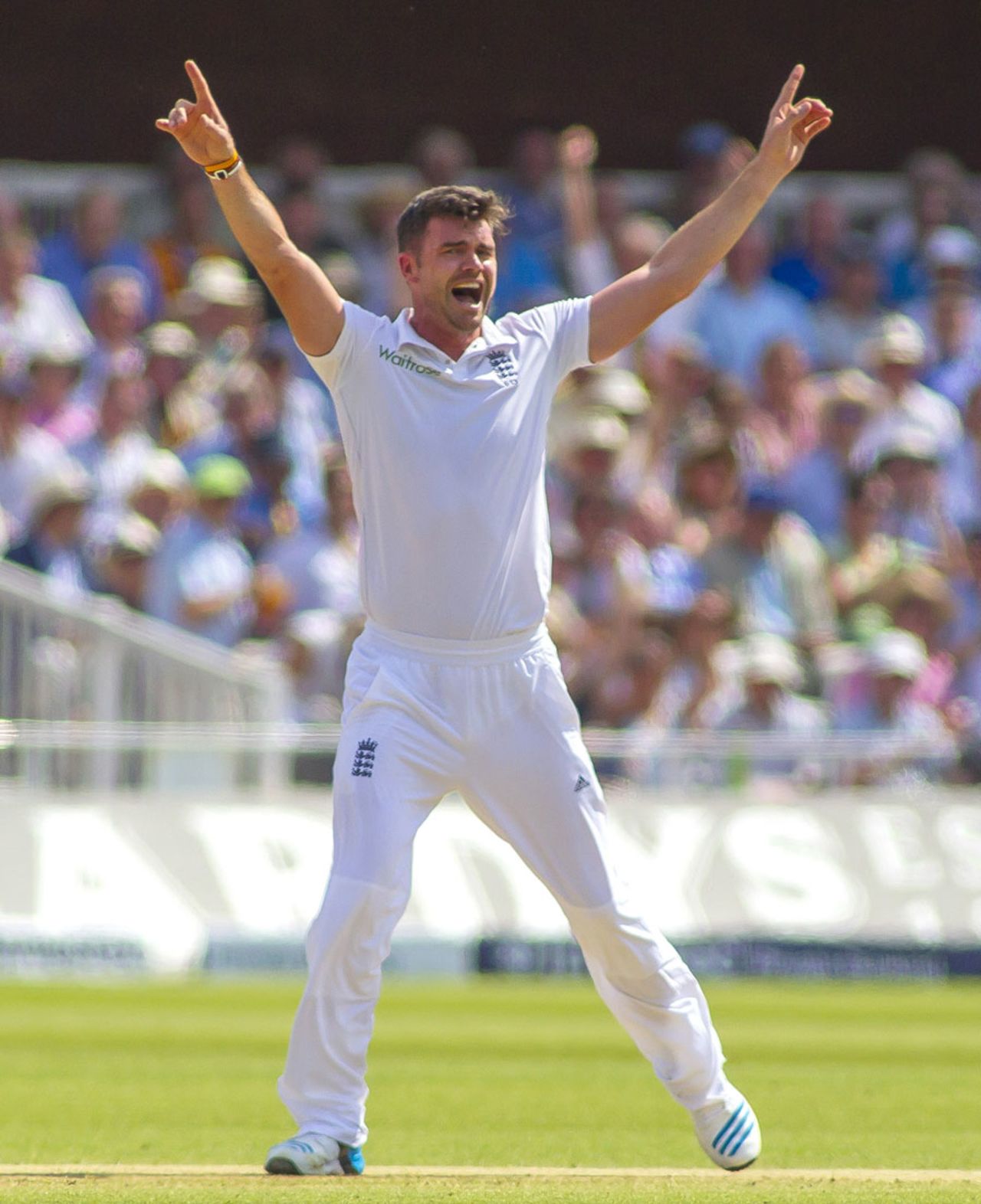 James Anderson had a wicket overturned on review, England v Sri Lanka, 1st Investec Test, Lord's, 2nd day, June 13, 2014