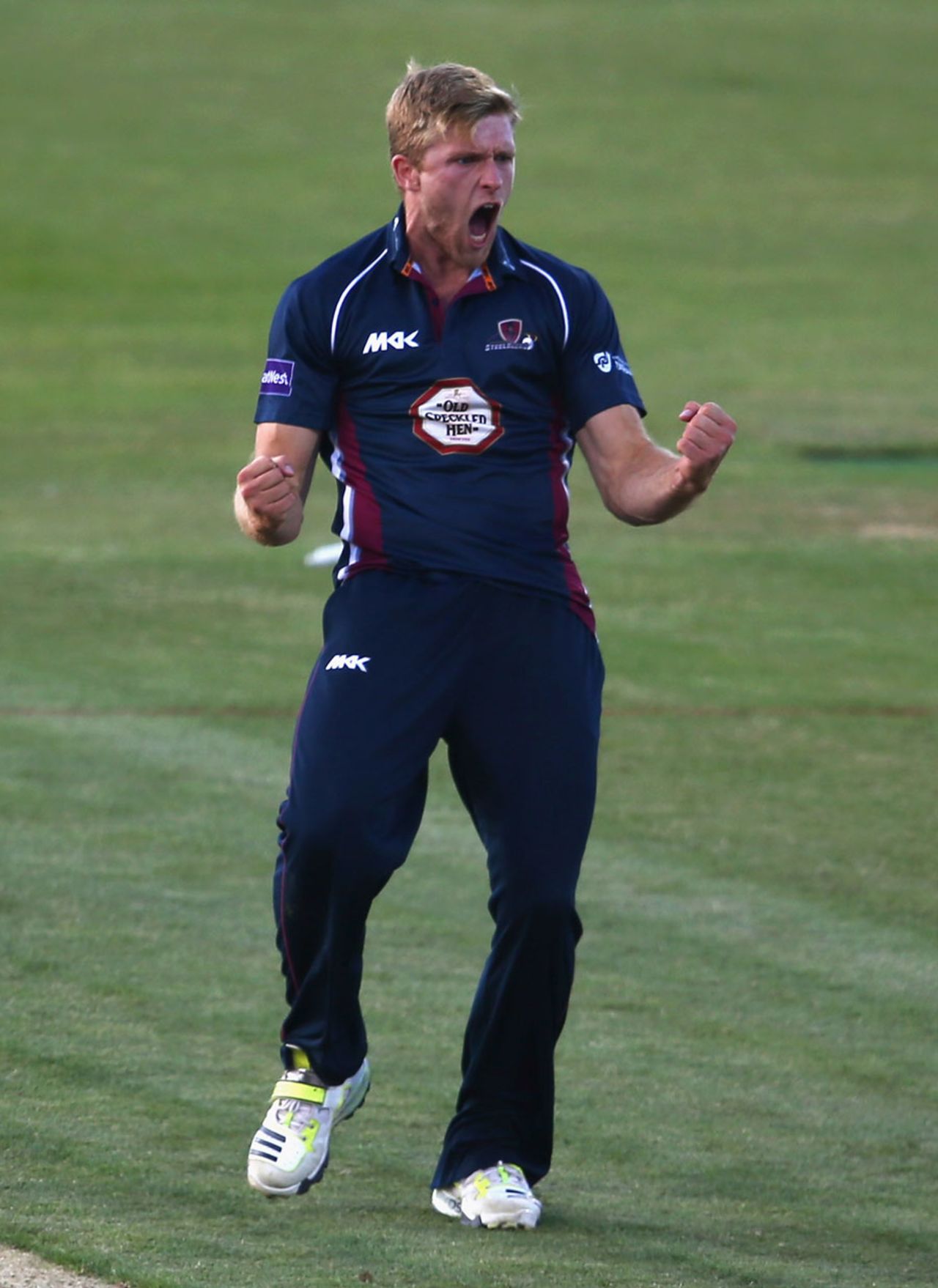 David Willey removed both openers, Northamptonshire v Warwickshire, NatWest T20 Blast, North Division, Wantage Road, July 3, 2014