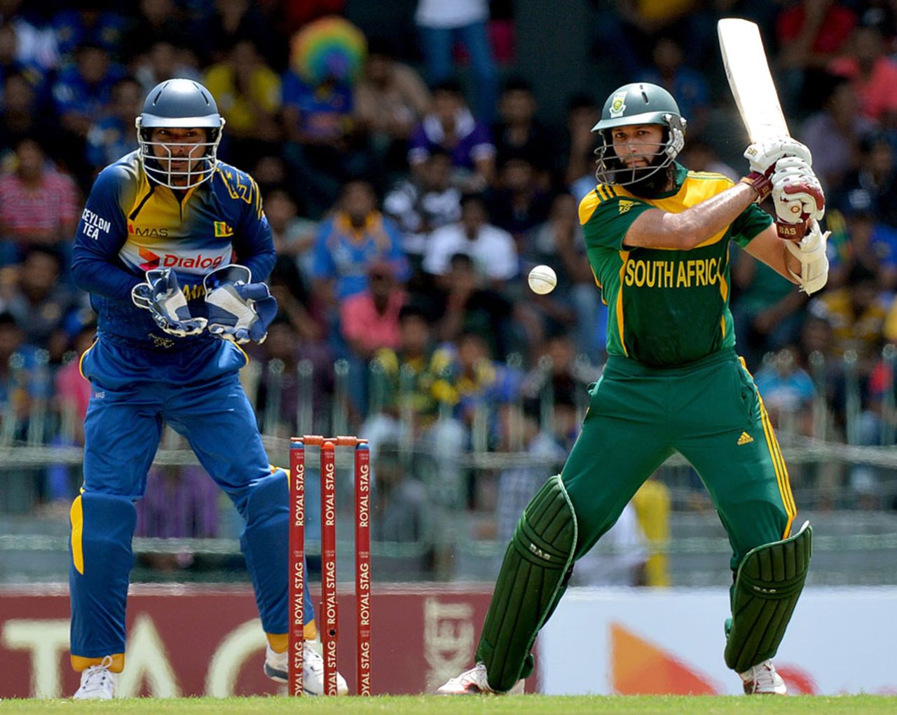 Hashim Amla drives hits off the back foot, Sri Lanka v South Africa, 1st ODI, Colombo, July 6, 2014