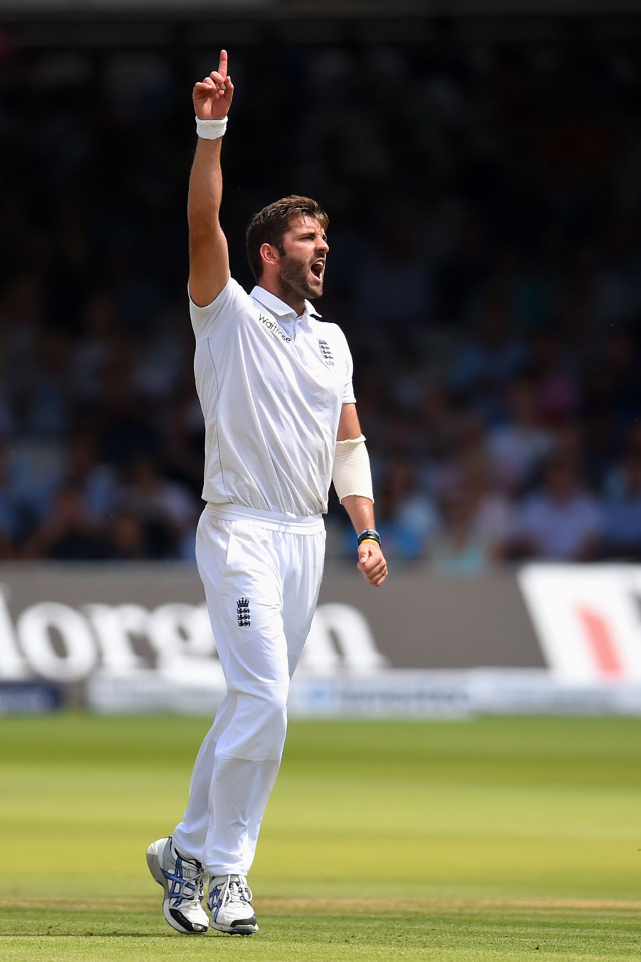 Liam Plunkett celebrates dismissing M Vijay, England v India, 2nd Investec Test, Lord's, 1st day, July 17, 2014
