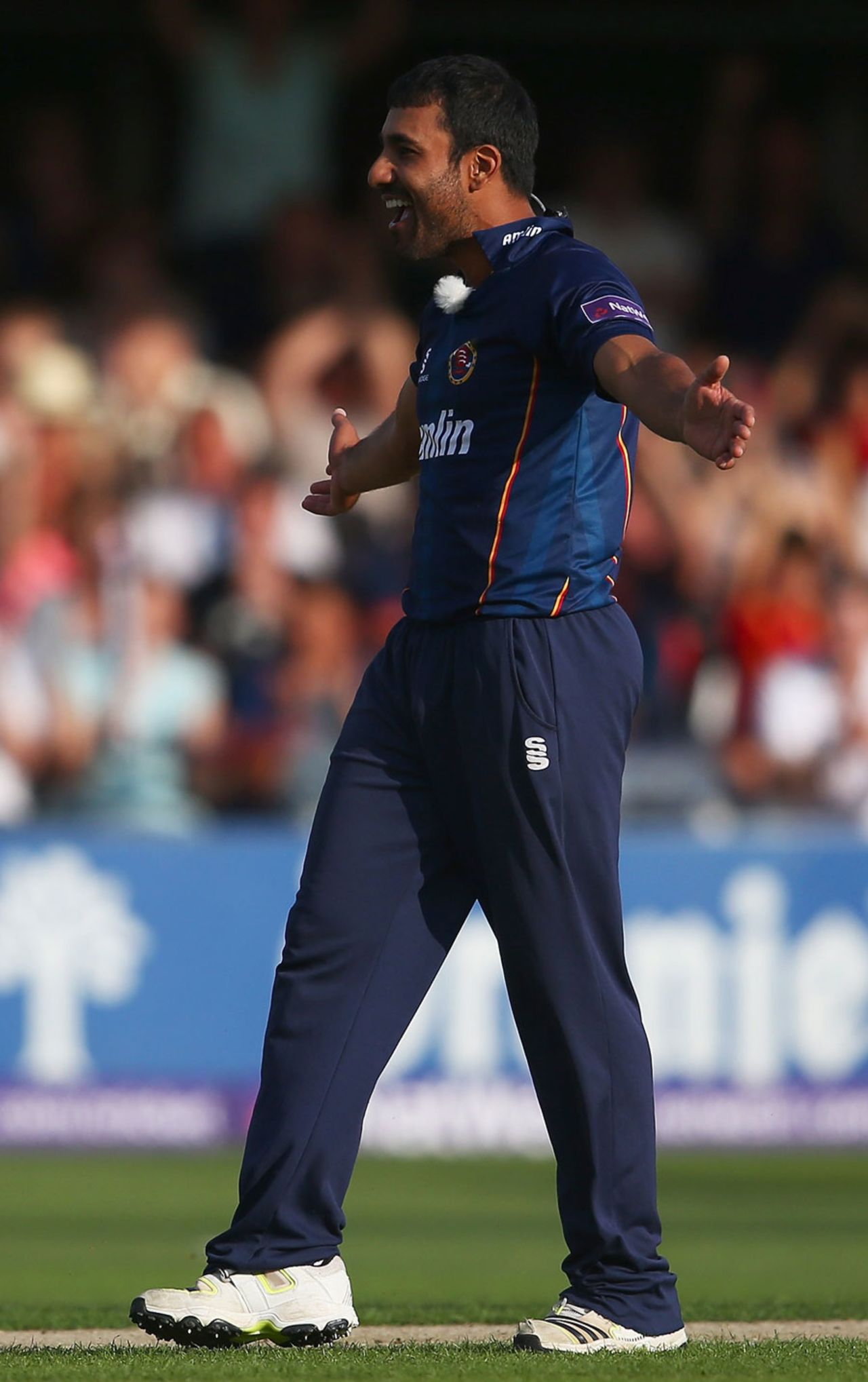 Ravi Bopara took two wickets in an over, Essex v Birmingham, NatWest T20 Blast quarter-final, Chelmsford, August 2, 2014