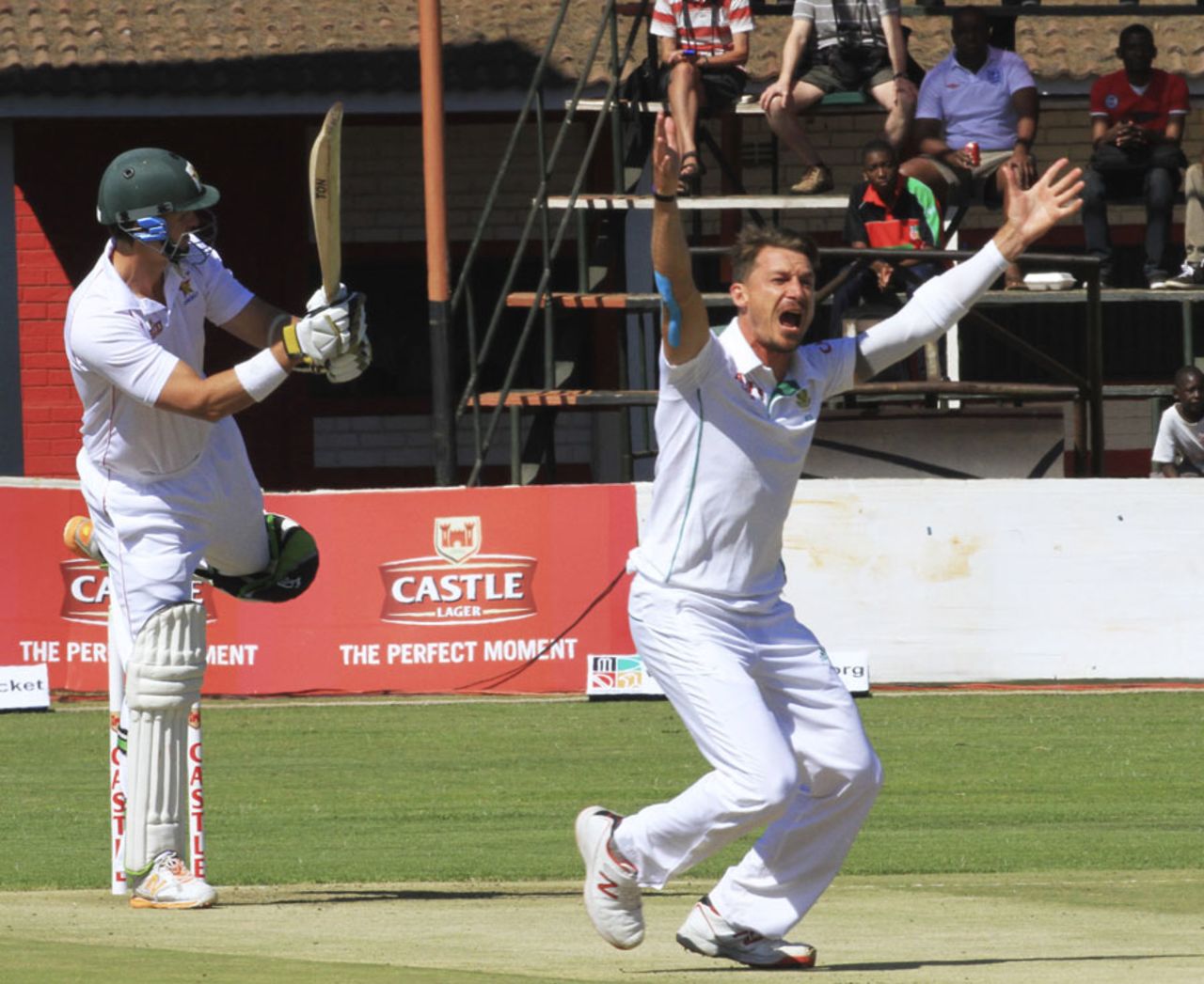 Dale Steyn appeals unsuccessfully for the wicket of Mark Vermeulen, Zimbabwe v South Africa, only Test, Harare, 1st day, August 9, 2014