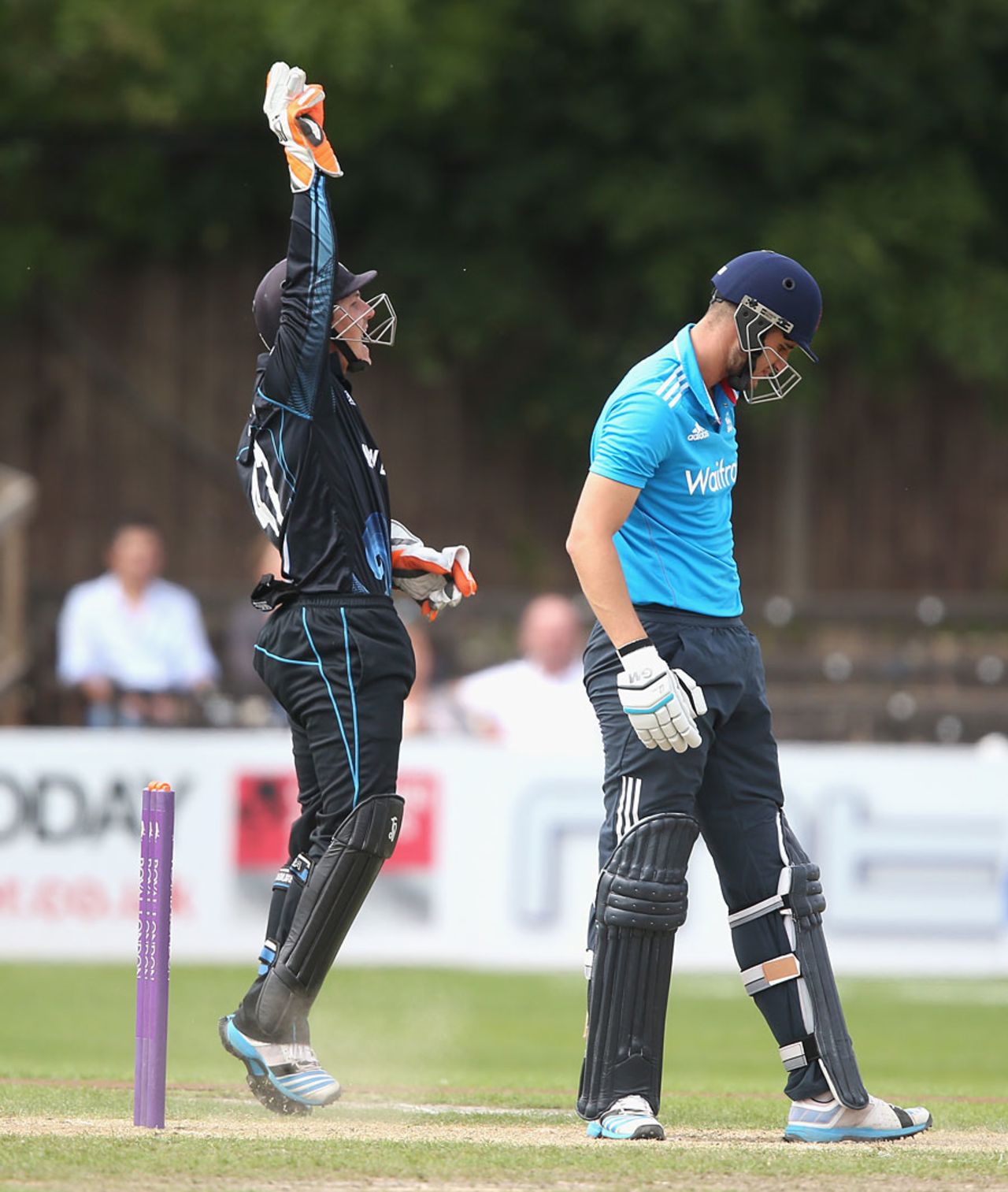 BJ Watling appeals for the catch to remove Alex Hales, England Lions v New Zealand A, Tri-series, New Road, August 12, 2014