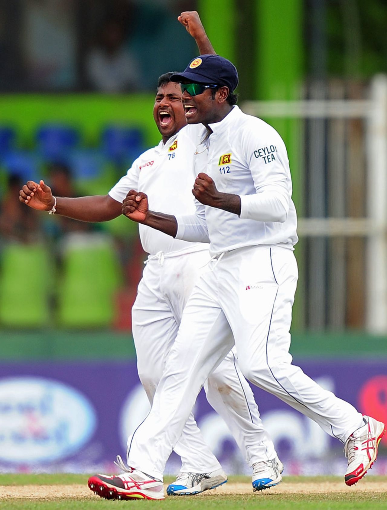 Rangana Herath and Angelo Mathews celebrate a wicket, Sri Lanka v Pakistan, 2nd Test, Colombo, 2nd day, August 15, 2014