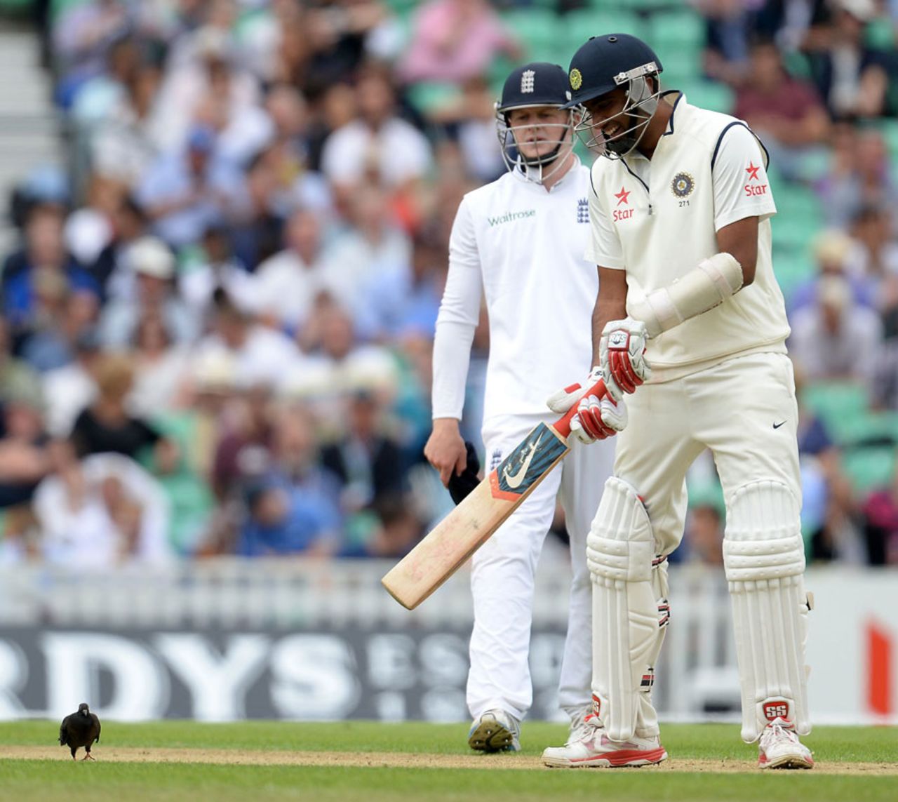 R Ashwin tries to chase a pigeon away, England v India, 5th Investec Test, The Oval, 1st day, August 15, 2014