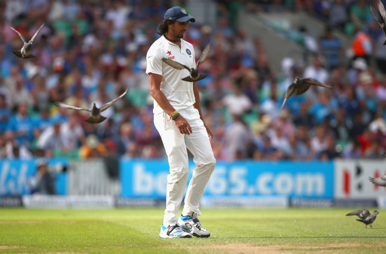 Ishant Sharma tries to chase the pigeons away, England v India, 5th Investec Test, The Oval, 2nd day, August 16, 2014