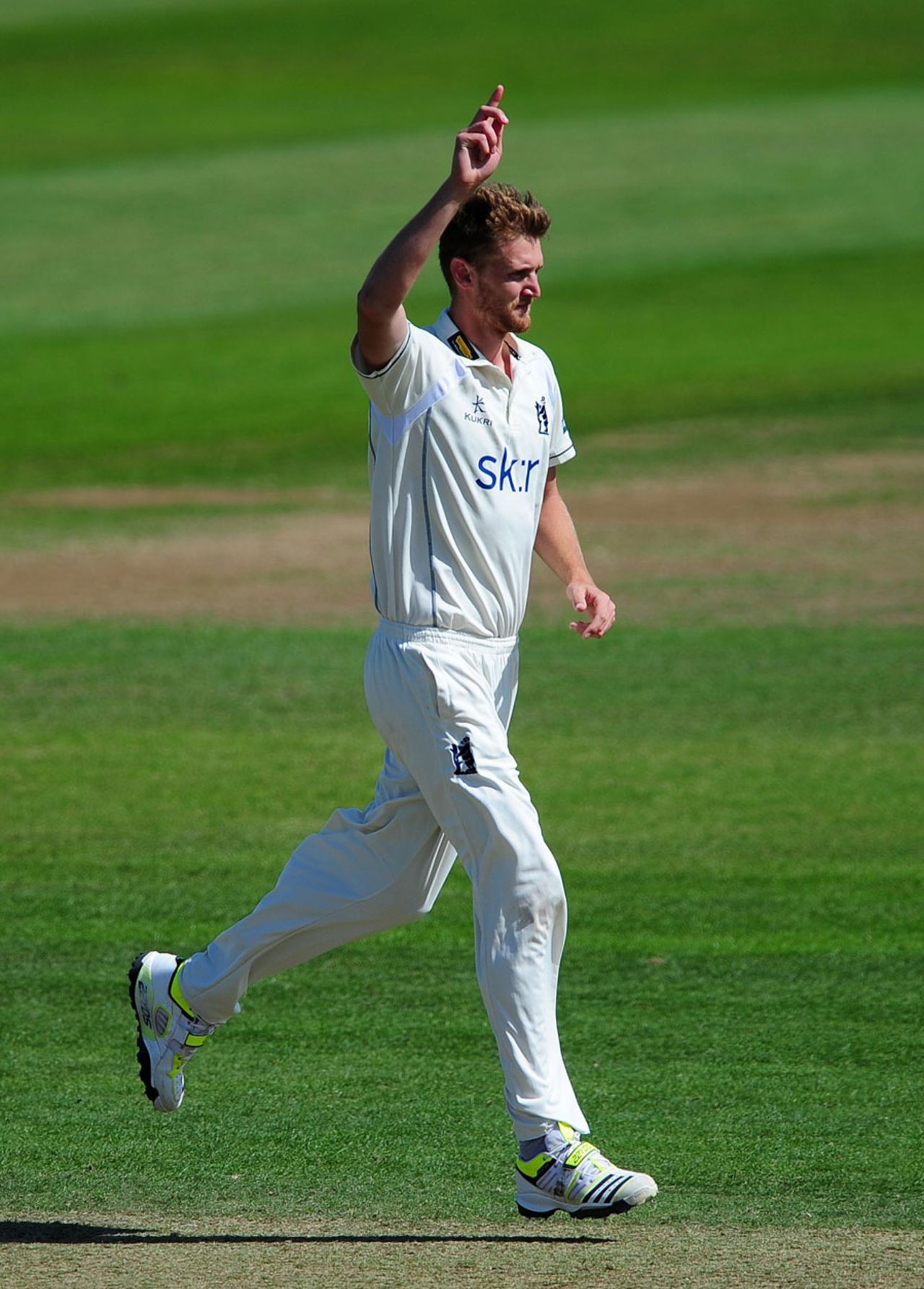 Oliver Hannon-Dalby celebrates a wicket, Somerset v Warwickshire, County Championship, Division One, 4th day, Taunton, August 18, 2014