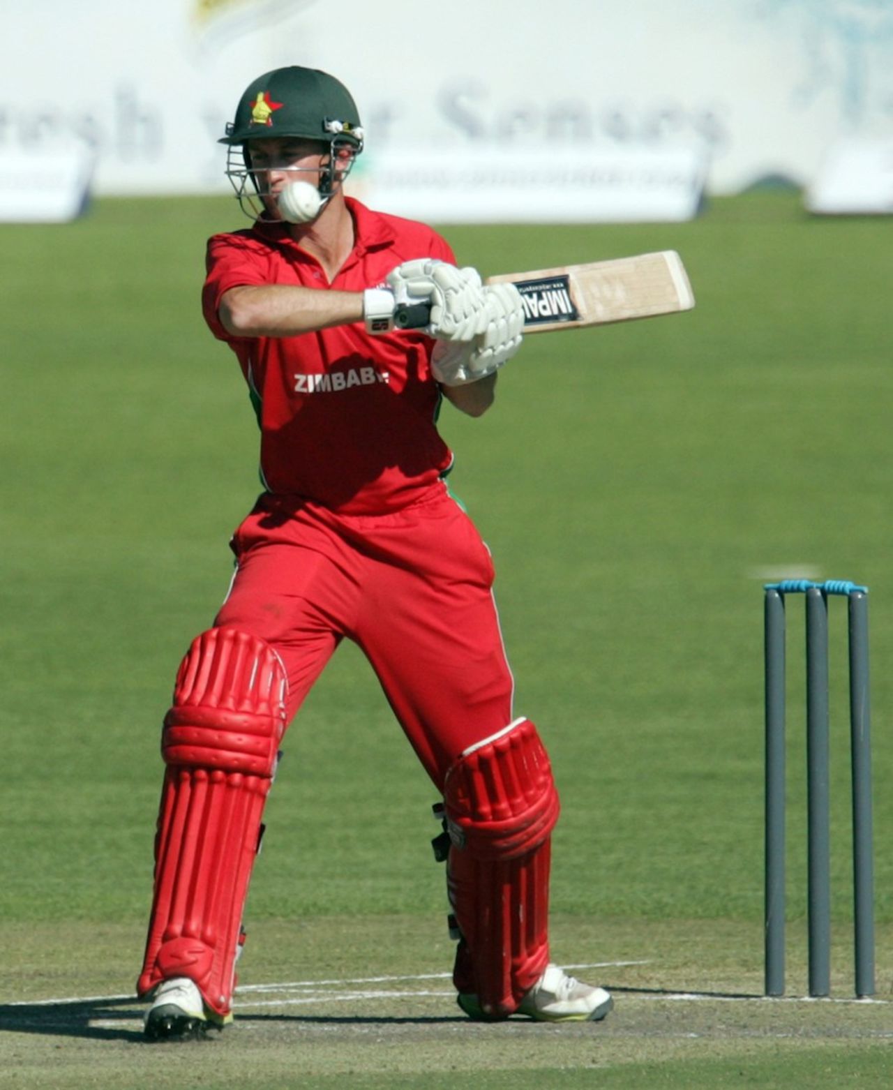 Sean Williams gets ready to face a short ball, Zimbabwe v South Africa, 2nd ODI, Bulawayo, August 19, 2014