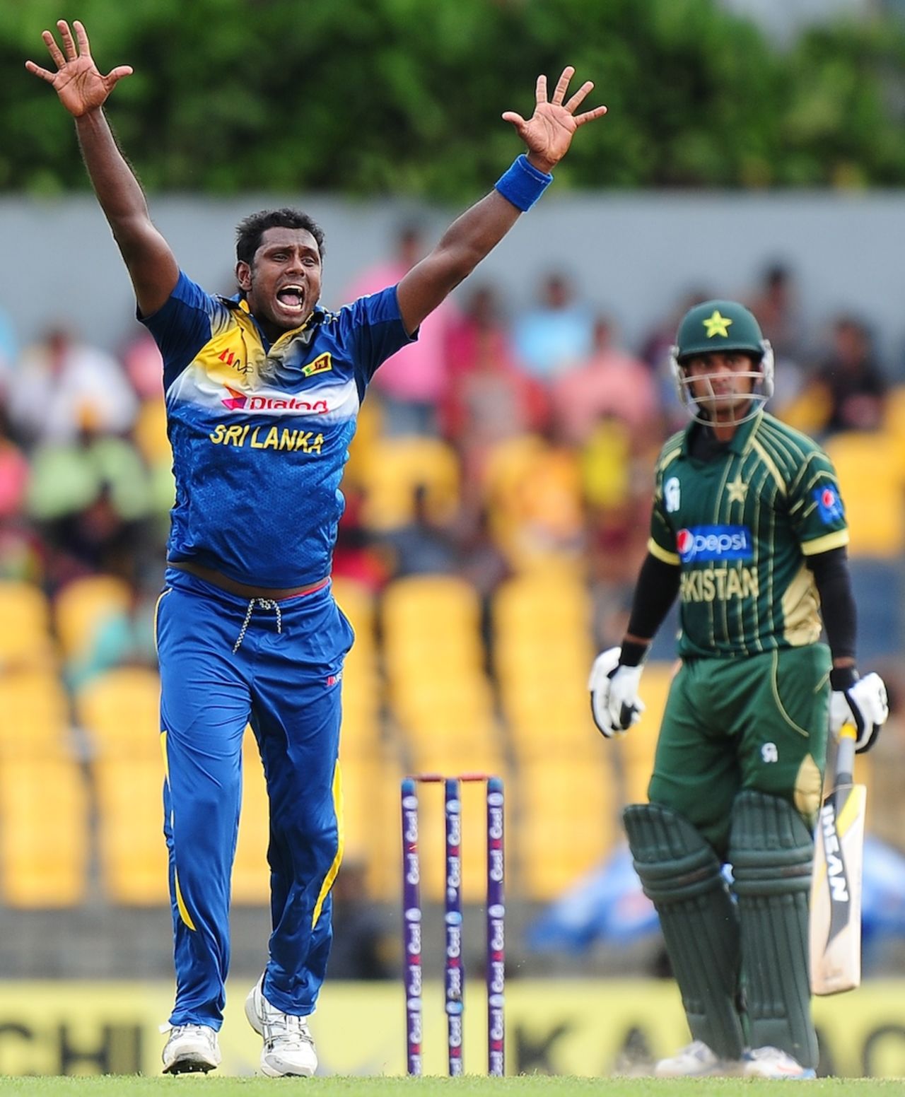 Angelo Mathews successfully appeals against Mohamamd Hafeez, Sri Lanka v Pakistan, 1st ODI, Hambantota, August 23, 2014