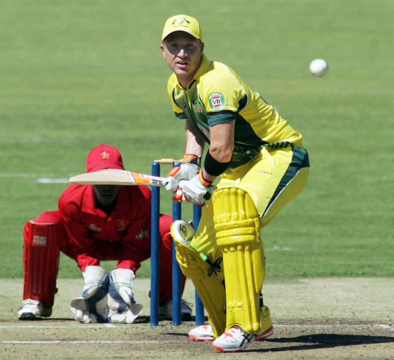 Brad Haddin watches the ball closely, Zimbabwe v Australia, Tri-series, Harare, August 25, 2014