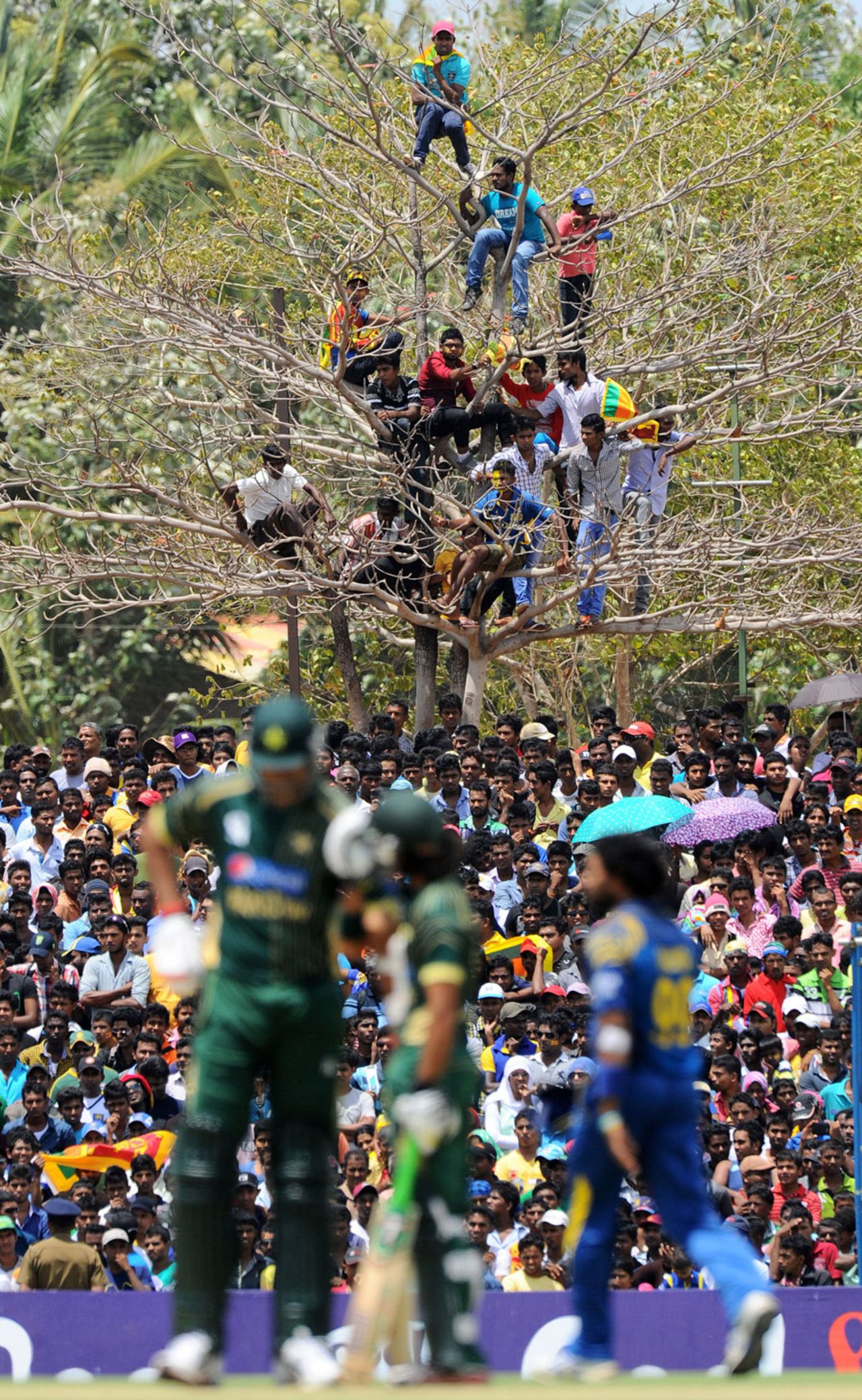 Sri Lanka fans discovered ingenious ways of watching the game, Sri Lanka v Pakistan, 3rd ODI, Dambulla, August 30, 2014