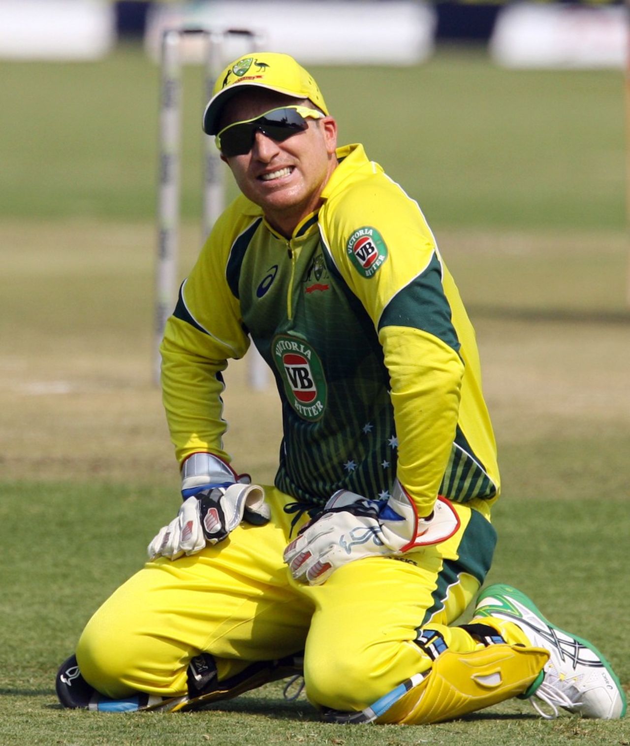 Brad Haddin on his haunches, Zimbabwe v Australia, tri-series, Harare, August 31, 2014