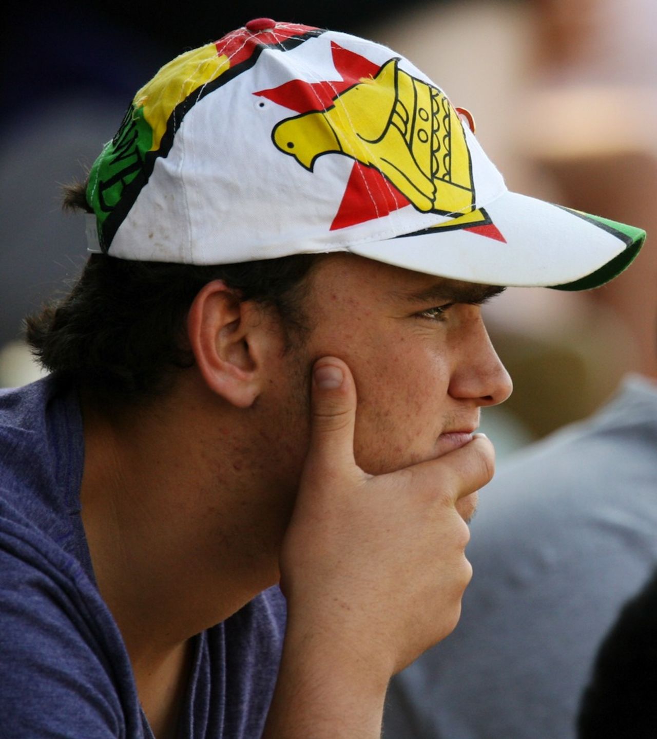 A Zimbabwe fan watches the tense finish, Zimbabwe v Australia, tri-series, Harare, August 31, 2014