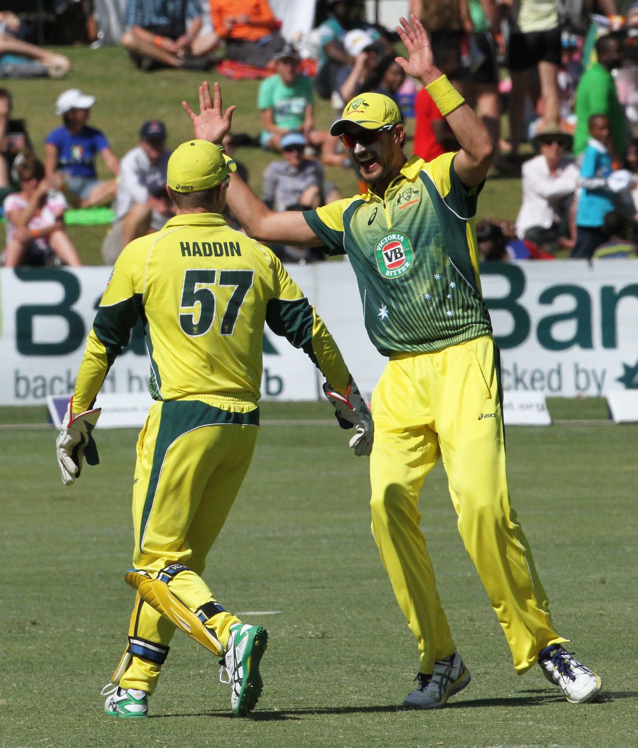 Mitchell Starc and Brad Haddin celebrate a wicket, Australia v South Africa, tri-series, Harare, September 2, 2014
