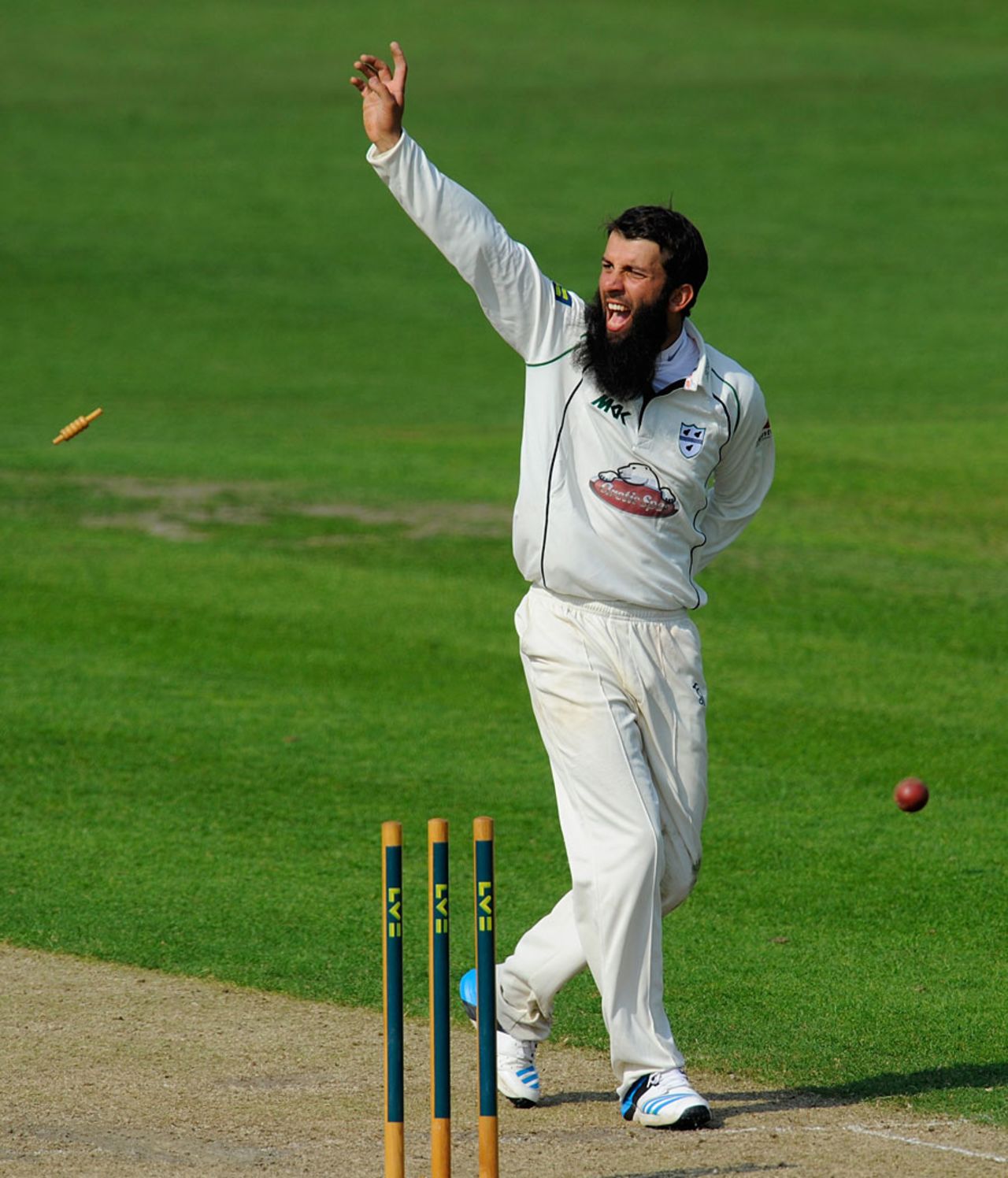 Moeen Ali appeals for a run out, Worcestershire v Surrey, County Championship, Division Two, New Road, September 10, 2014