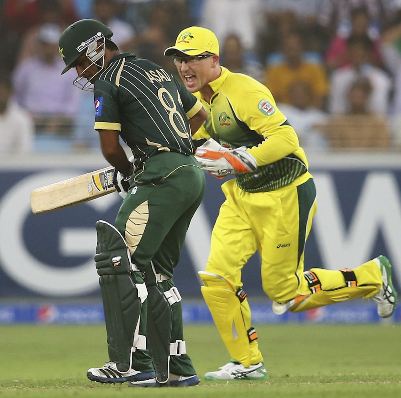 An elated Brad Haddin charges past a disappointed Asad Shafiq, Pakistan v Australia, 2nd ODI, Dubai, October 10, 2014