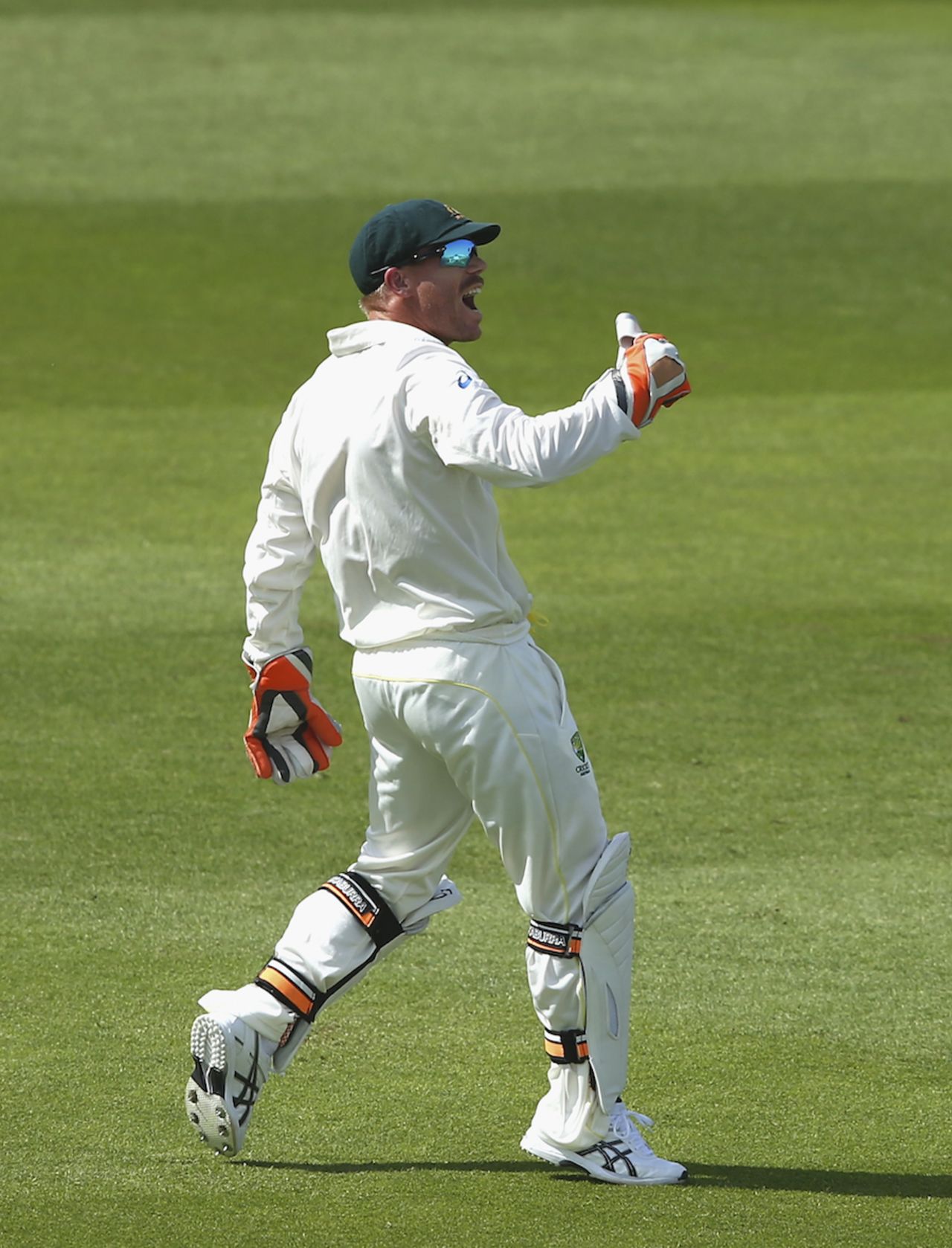 David Warner roars after taking a catch as wicketkeeper, Pakistan v Australia, 2nd Test, Abu Dhabi, 2nd day, October 31, 2014