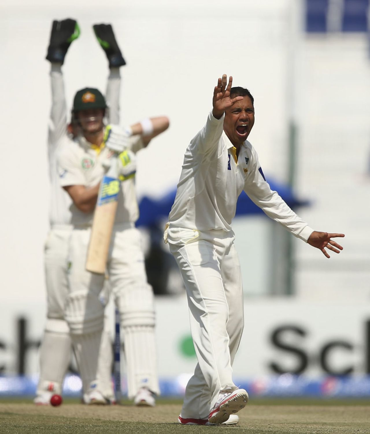 Zulfiqar Babar appeals successfully for an lbw against Steven Smith, Pakistan v Australia, 2nd Test, Abu Dhabi, 3rd day, November 1, 2014