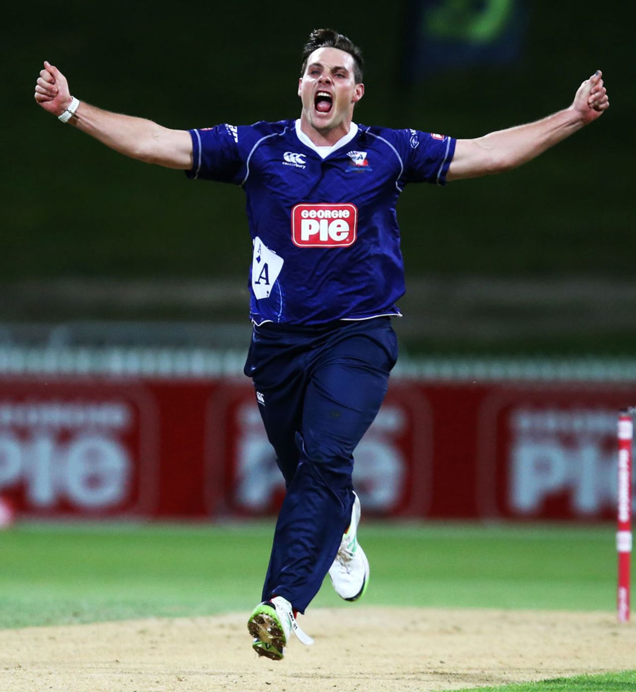 Mitchell McClenaghan celebrates the game-clinching wicket, Auckland v Otago, Georgie Pie Super Smash, Hamilton, November 1, 2014