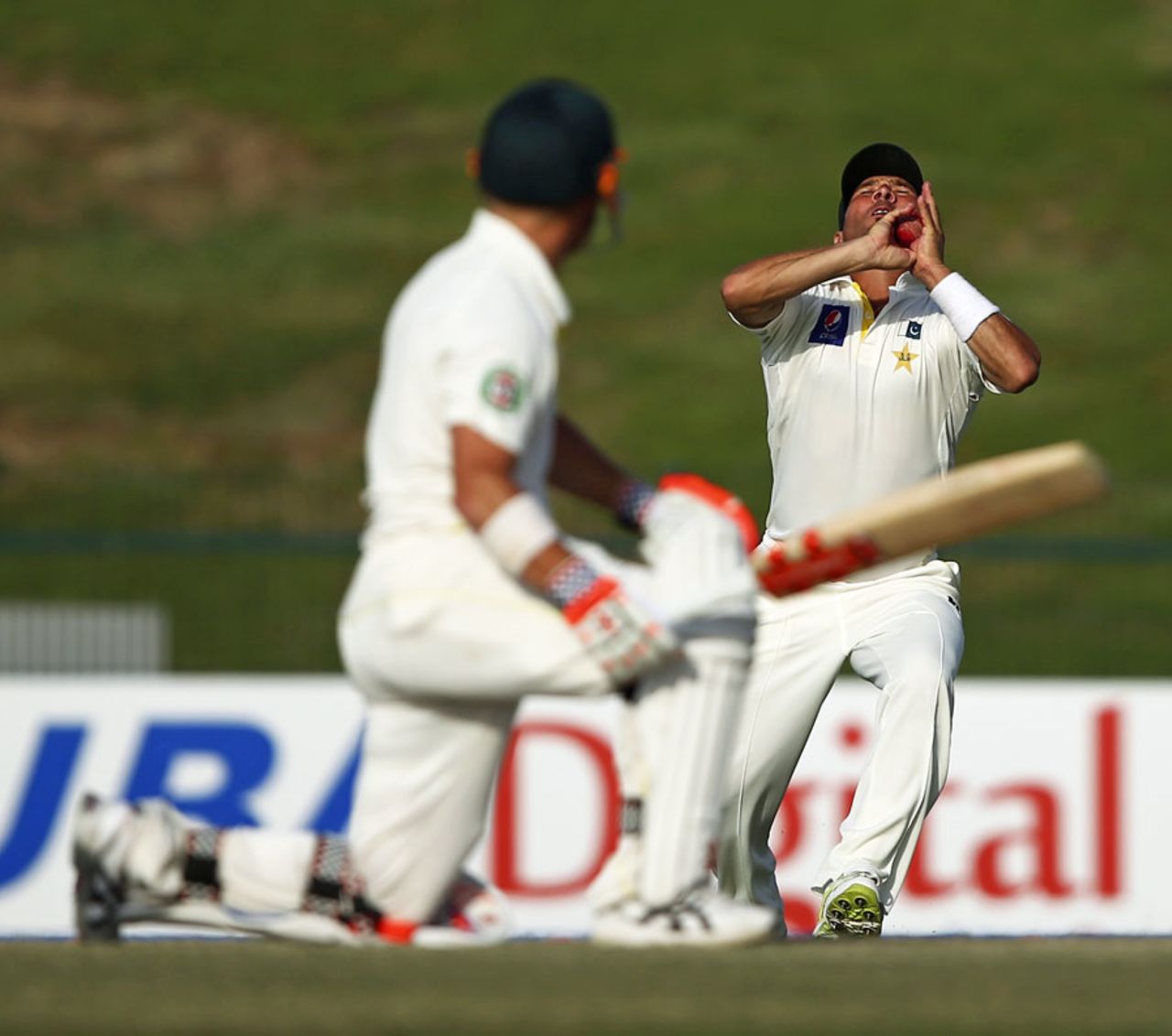 Yasir Shah took a catch at point to dismiss David Warner, Pakistan v Australia, 2nd Test, Abu Dhabi, 4th day, November 2, 2014