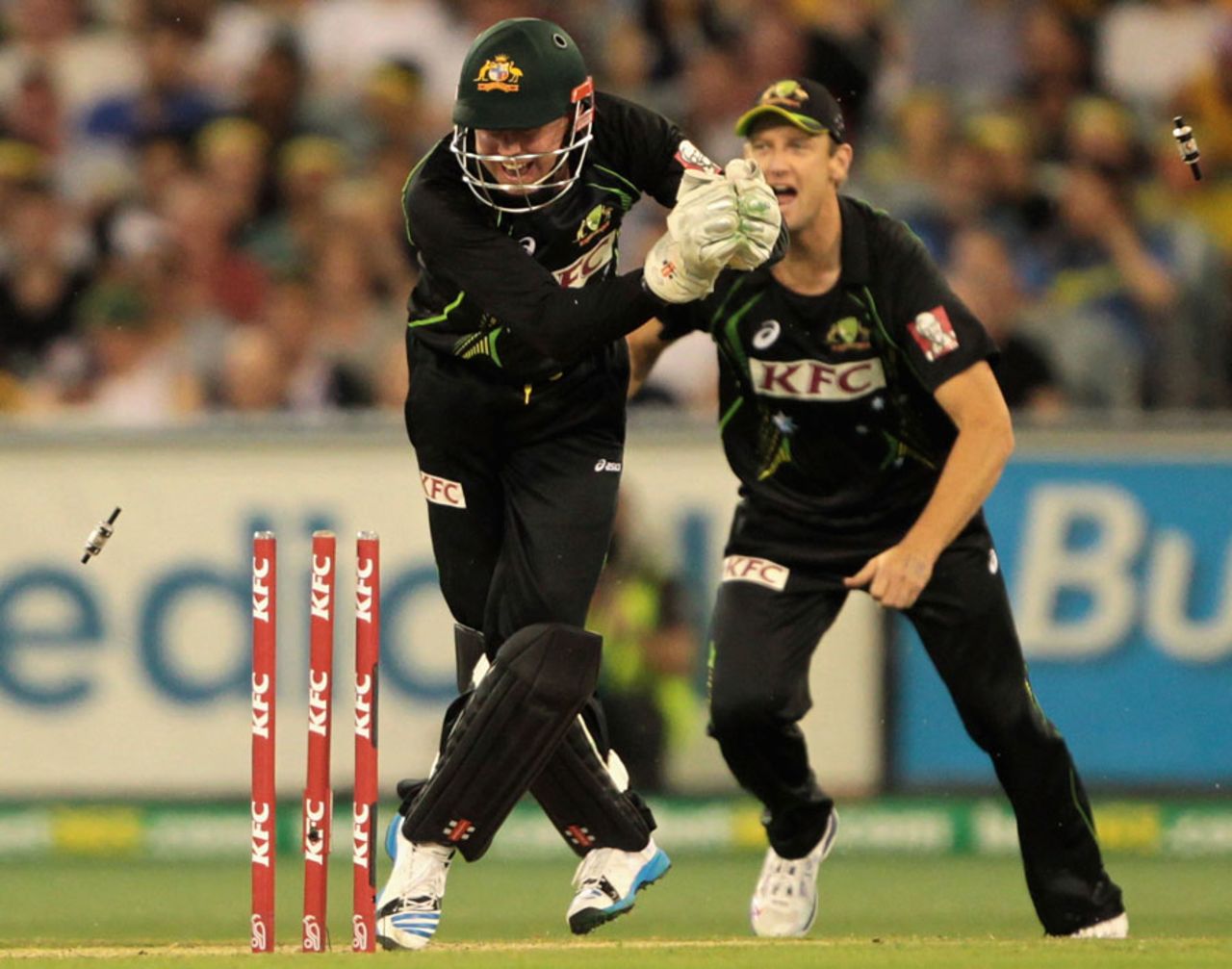 Ben Dunk made two stumpings off Cameron Boyce, Australia v South Africa, 2nd T20, Melbourne, November 7, 2014
