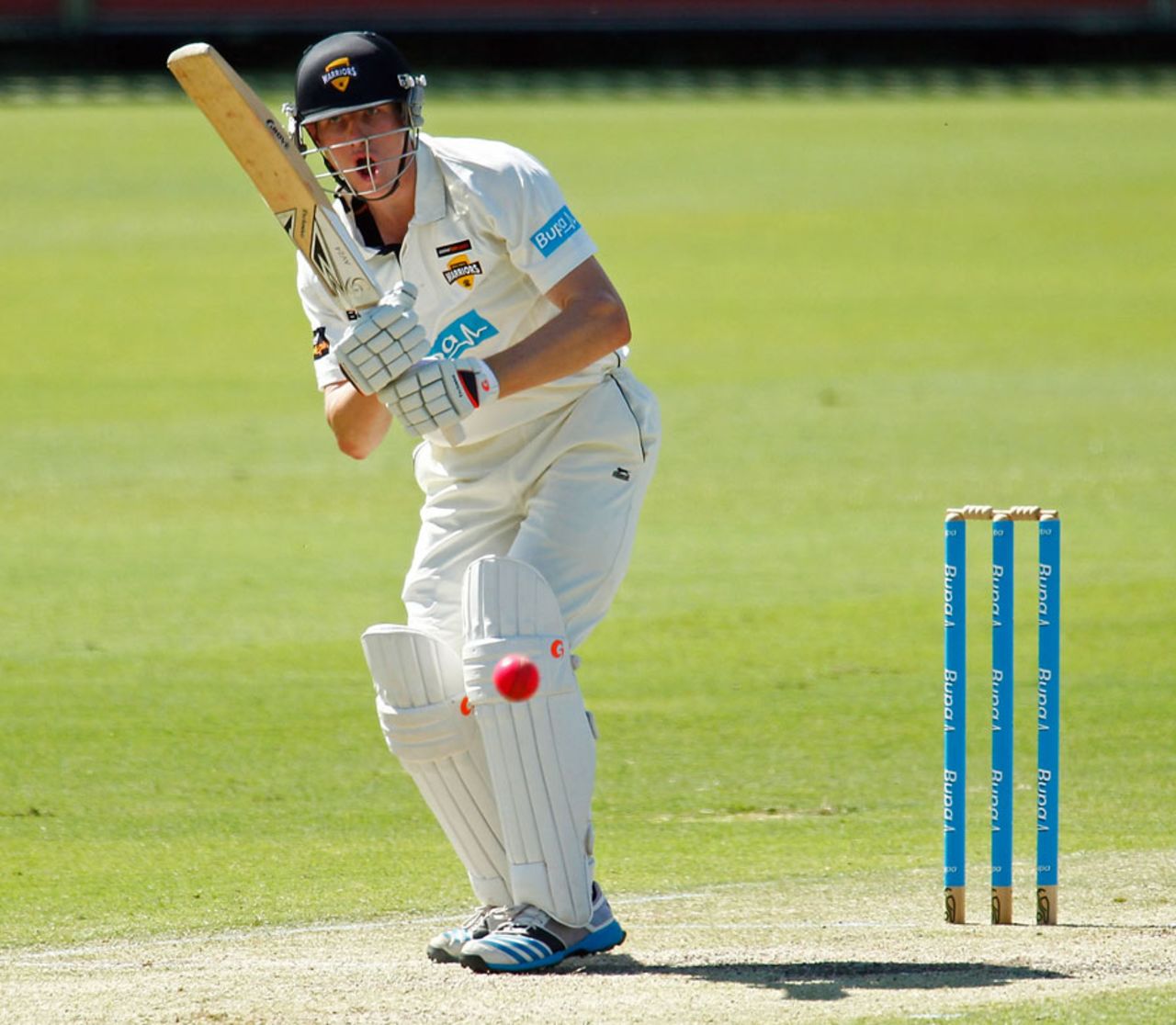 Cameron Bancroft steadied Western Australia after an early wicket, WA v Queensland, Sheffield Shield 2014-15, 2nd day, Perth, November 9, 2014