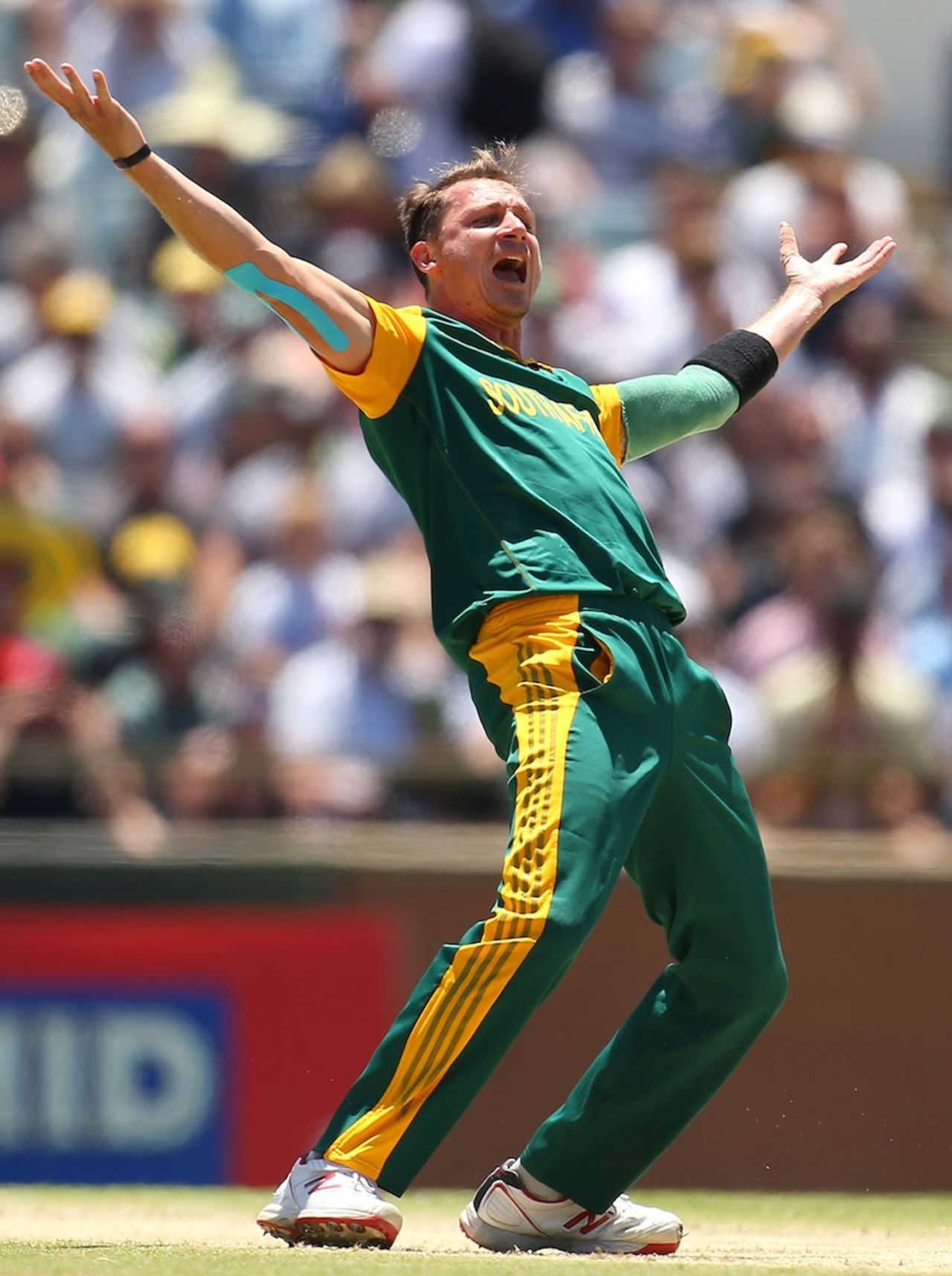 Dale Steyn appeals unsuccessfully, Australia v South Africa, 1st ODI, Perth, November 14, 2014