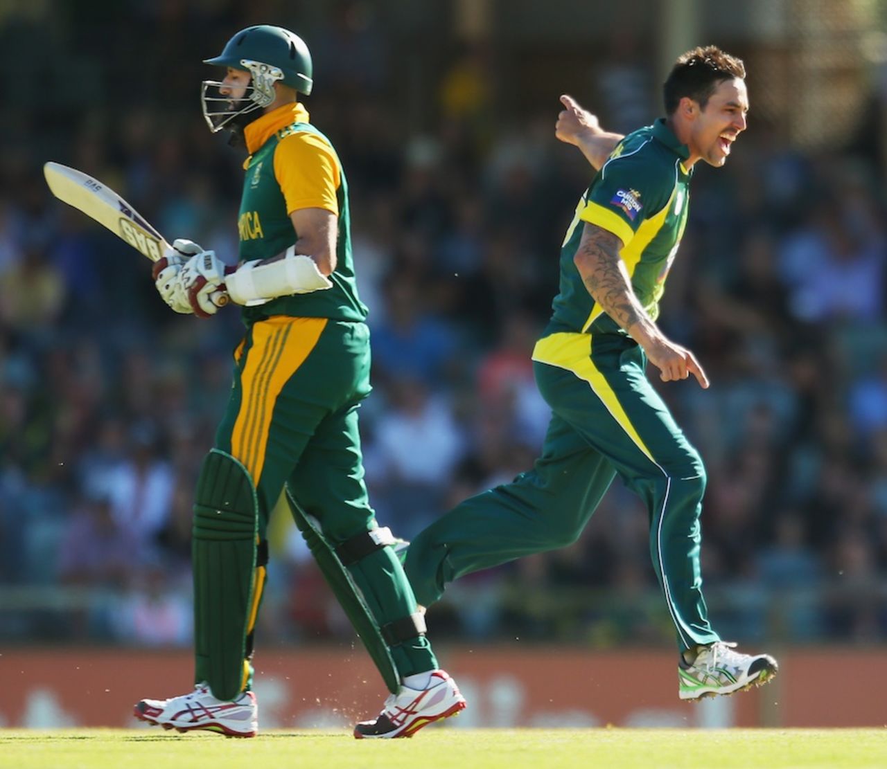 Mitchell Johnson had Hashim Amla caught behind, Australia v South Africa, 1st ODI, Perth, November 14, 2014