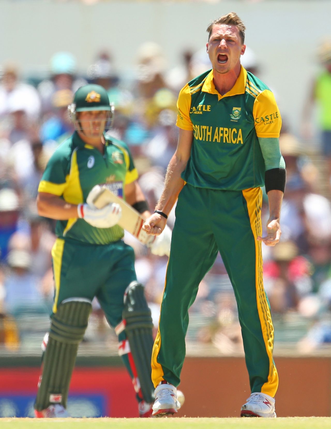 Dale Steyn got rid of Aaron Finch for 8, Australia v South Africa, 2nd ODI, Perth, November 16, 2014