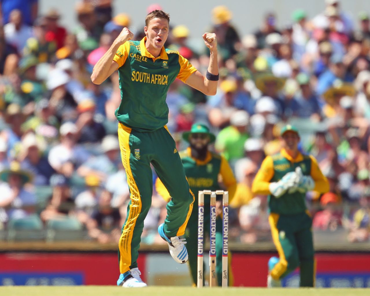 Morne Morkel claimed a five-for, Australia v South Africa, 2nd ODI, Perth, November 16, 2014