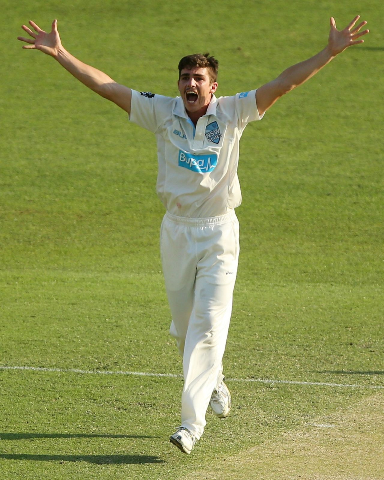 Sean Abbott appeals for a wicket, Queensland v New South Wales, Sheffield Shield 2014-15, 3rd day, Brisbane, November 18, 2014