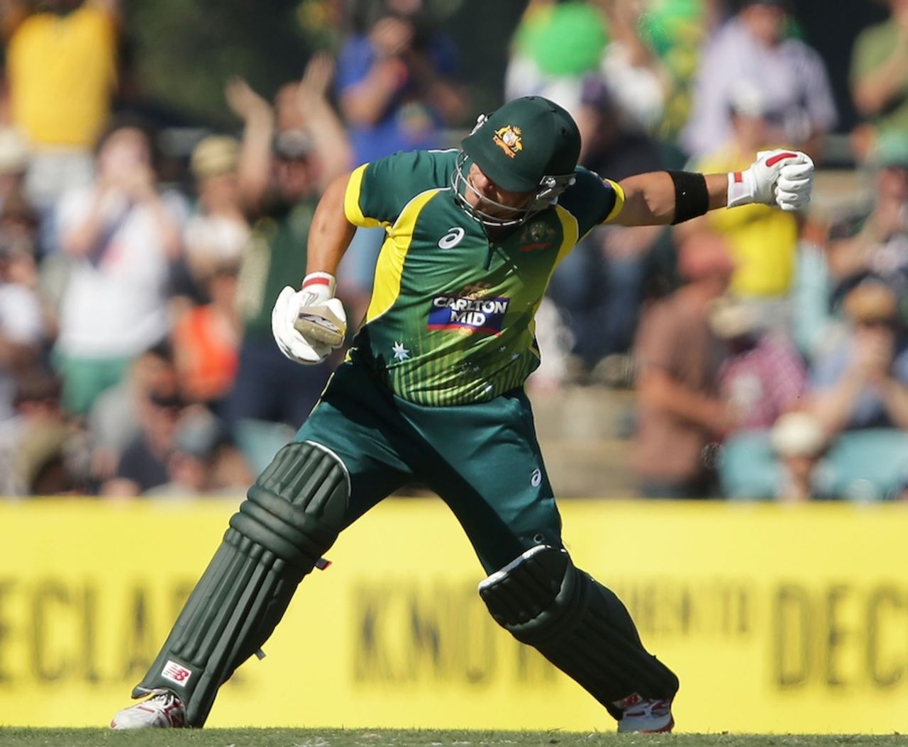 Aaron Finch celebrates his century, Australia v South Africa, 3rd ODI, Canberra, November 19, 2014