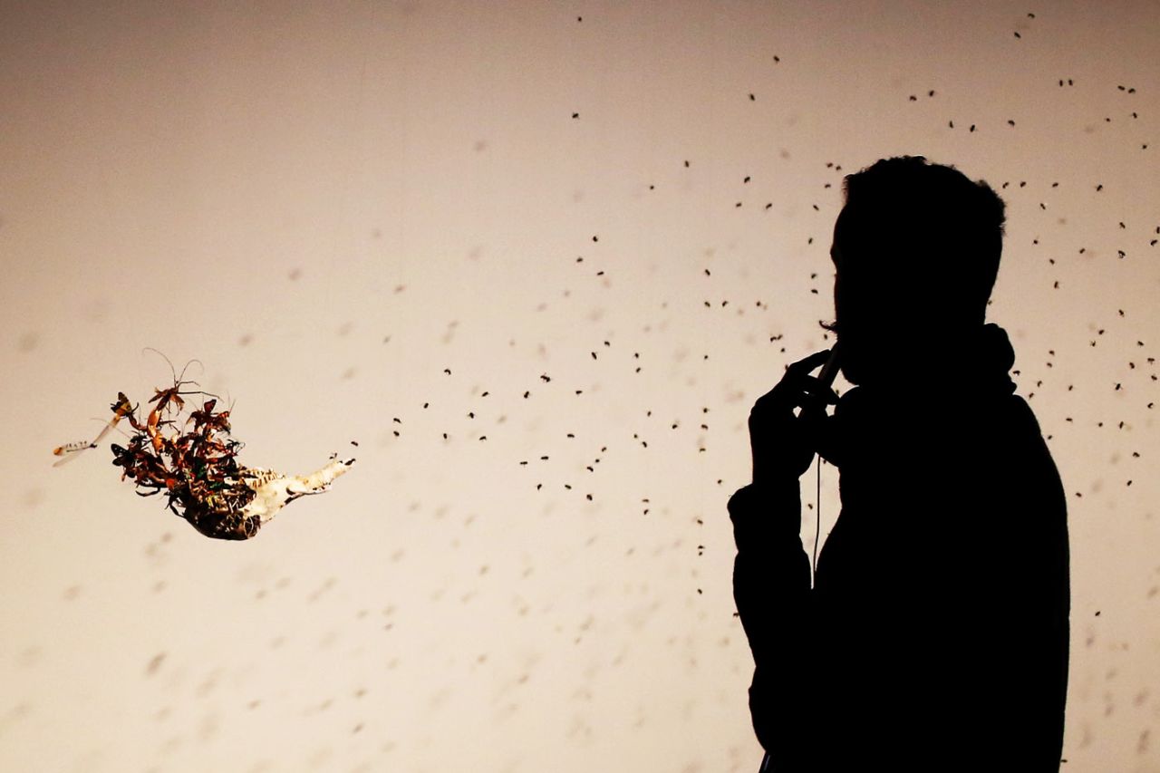  A visitor stops to look at "The Depraved Pursuit of a Possum" by Tessa Farmer in the The Museum Of Old And New Art , Hobart, November 8, 2013