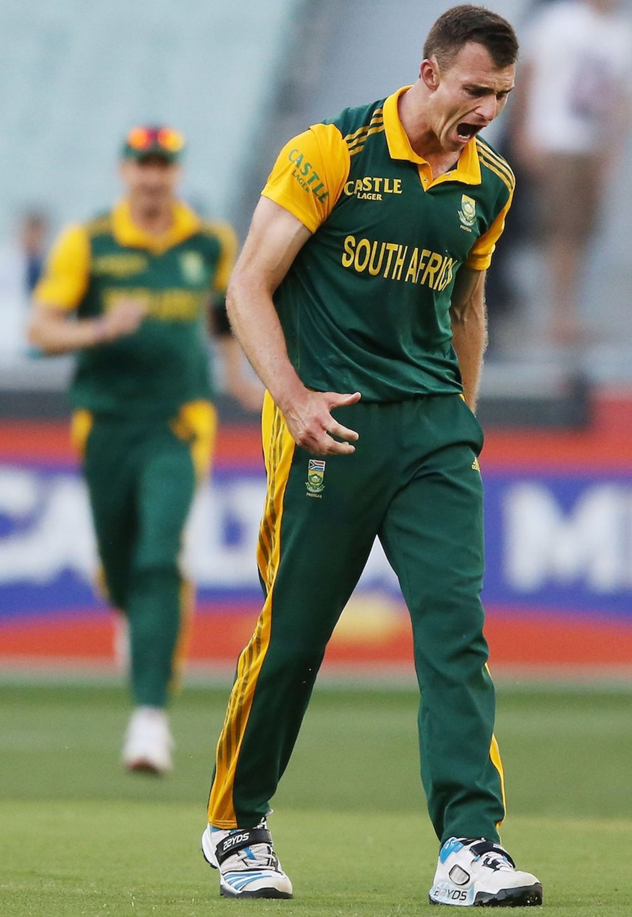 Ryan McLaren had Shane Watson caught behind, Australia v South Africa, 4th ODI, Melbourne, November 21, 2014