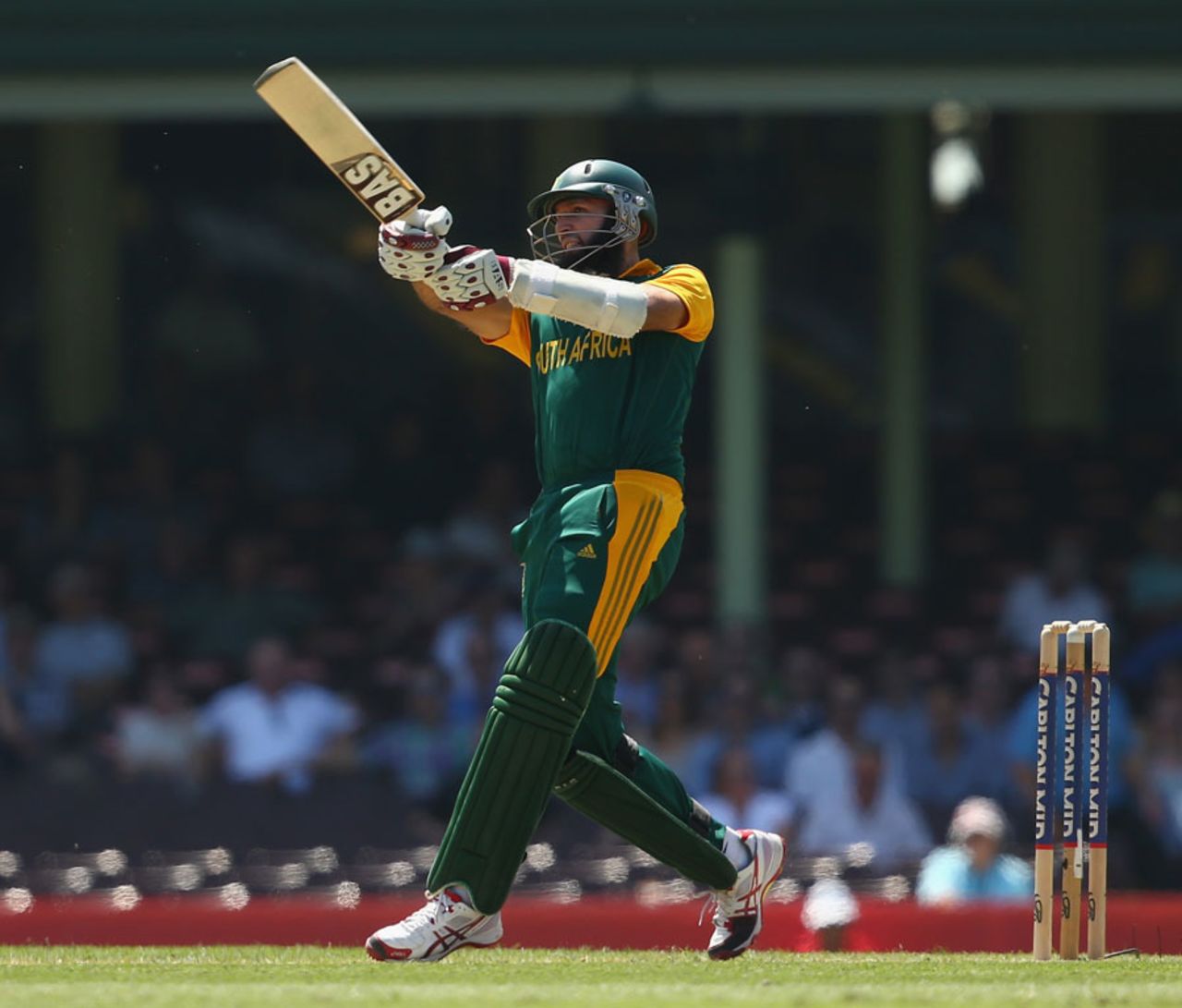 Hashim Amla executes a pull, Australia v South Africa, 5th ODI, Sydney, November 23, 2014