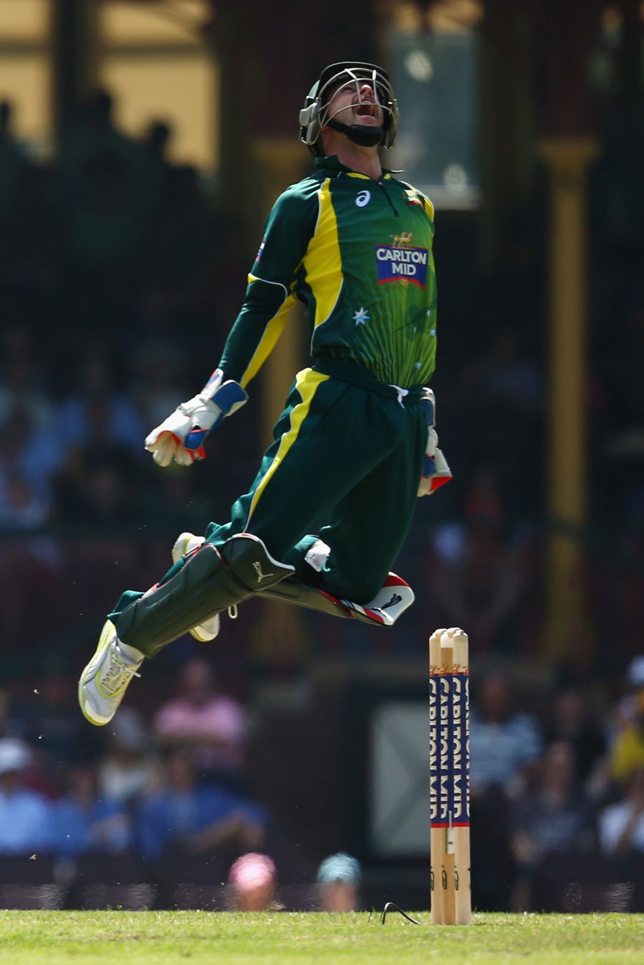 Matthew Wade leaps in joy after catching Hashim Amla behind, Australia v South Africa, 5th ODI, Sydney, November 23, 2014