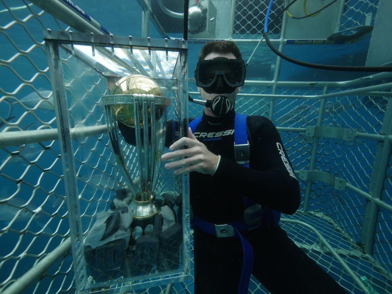 Shaun Tait took the World Cup trophy for the Great White Shark Dive, Port Lincoln, November 23, 2014