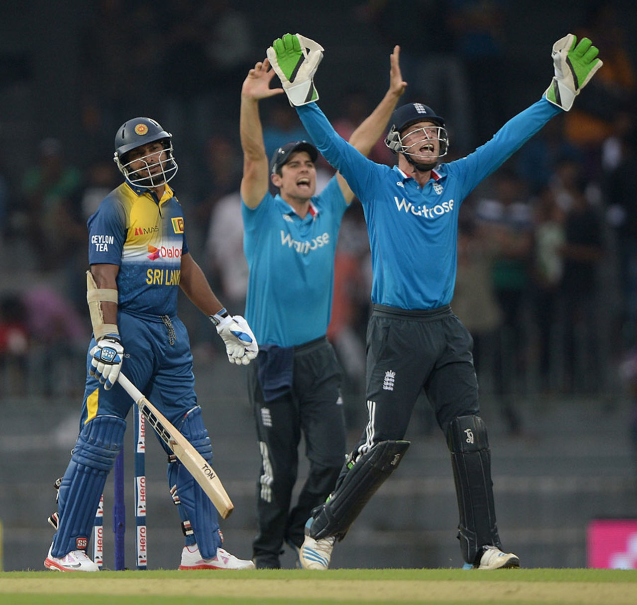 England successfully appeal for lbw against Kumar Sangakkara, Sri Lanka v England, 1st ODI, Colombo, November 26, 2014