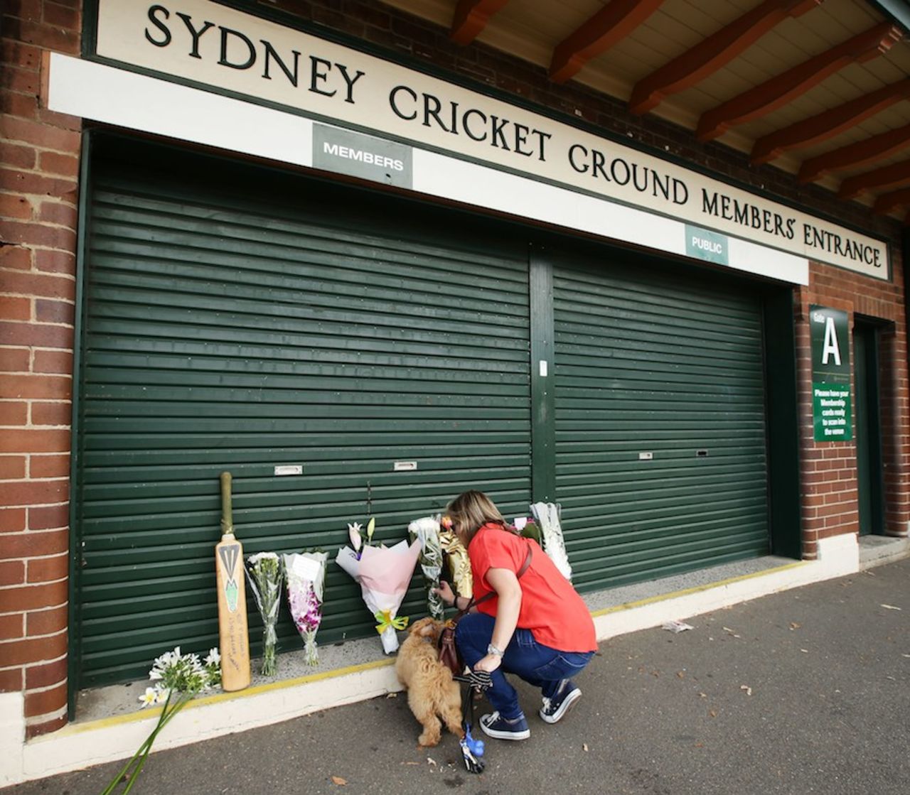 A woman pays tribute to Phillip Hughes at the SCG, Sydney, November 28, 2014
