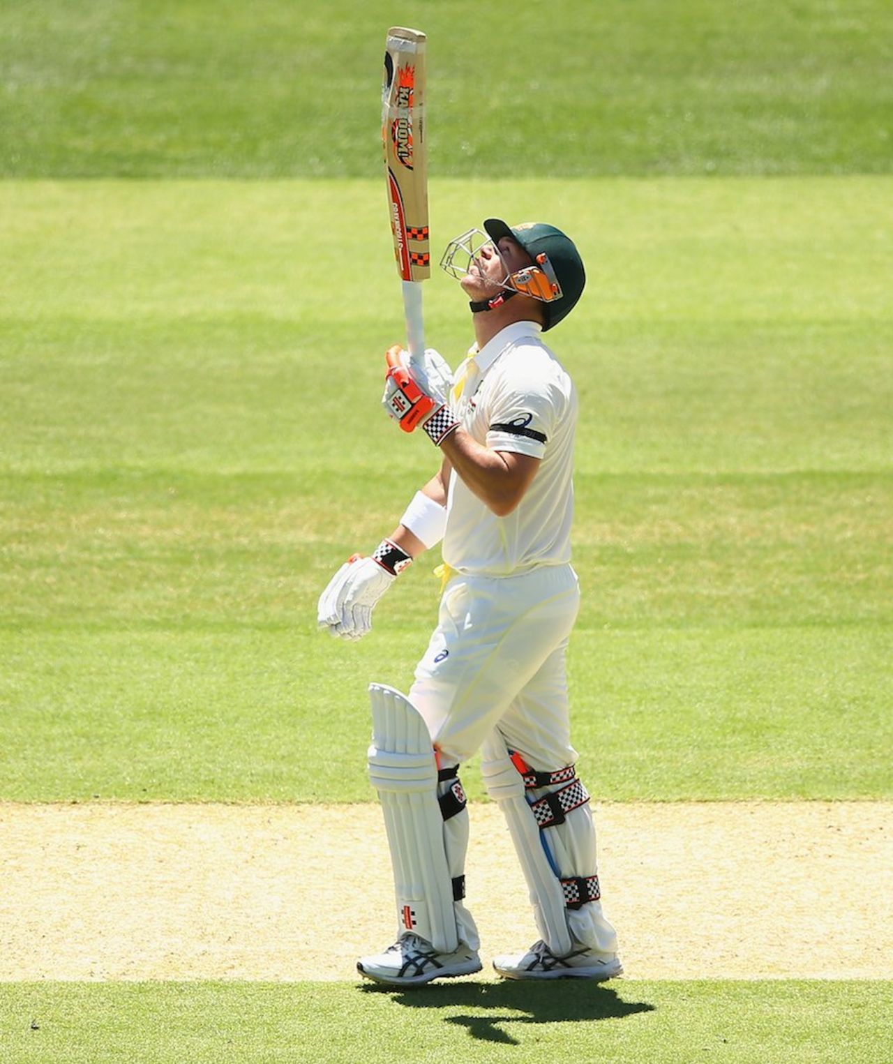 David Warner brought up his half-century off 45 balls, Australia v India, 1st Test, Adelaide, 1st day, December 9, 2014